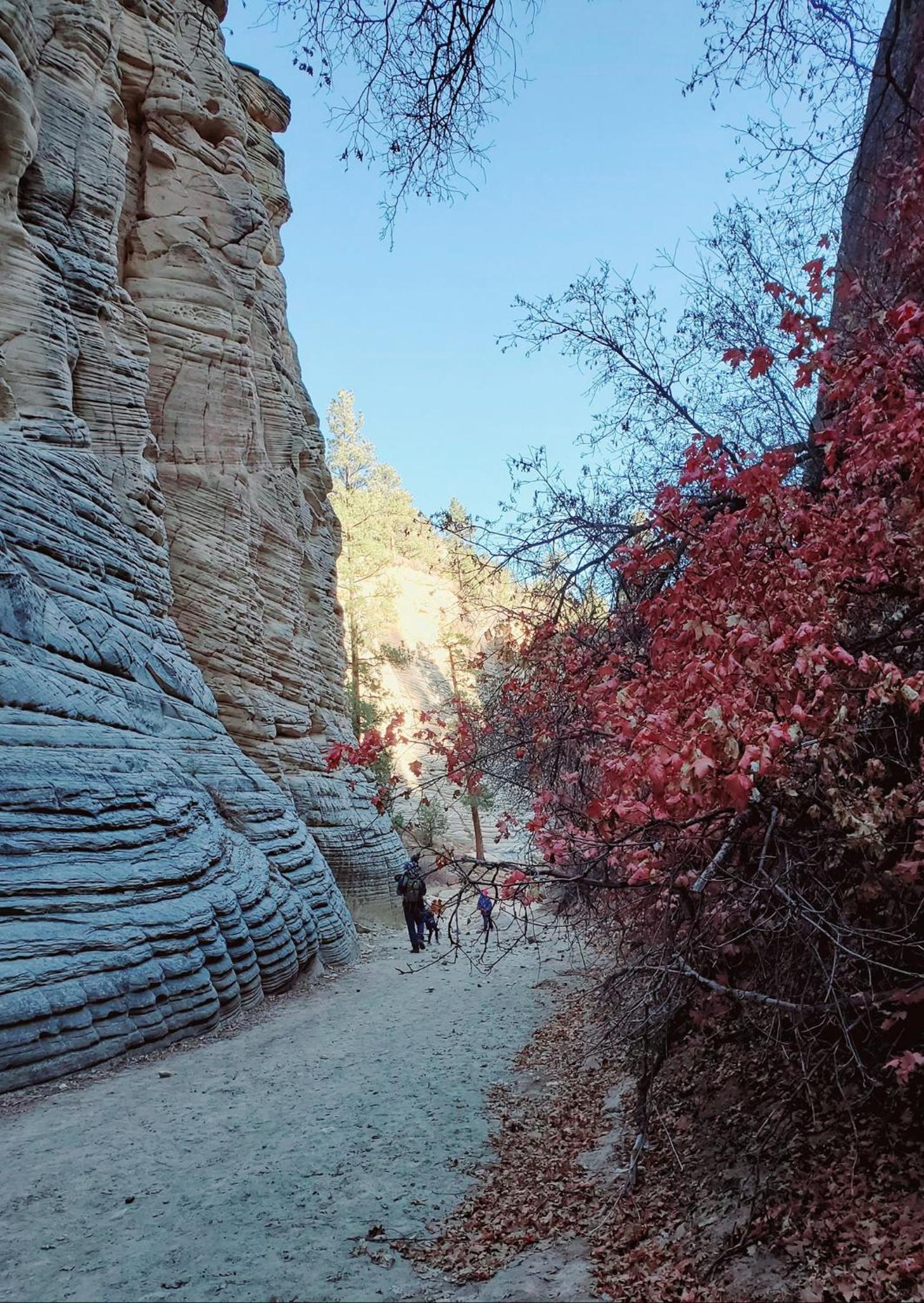 Kanab Vacations - Kanab Suites - Property Image 23