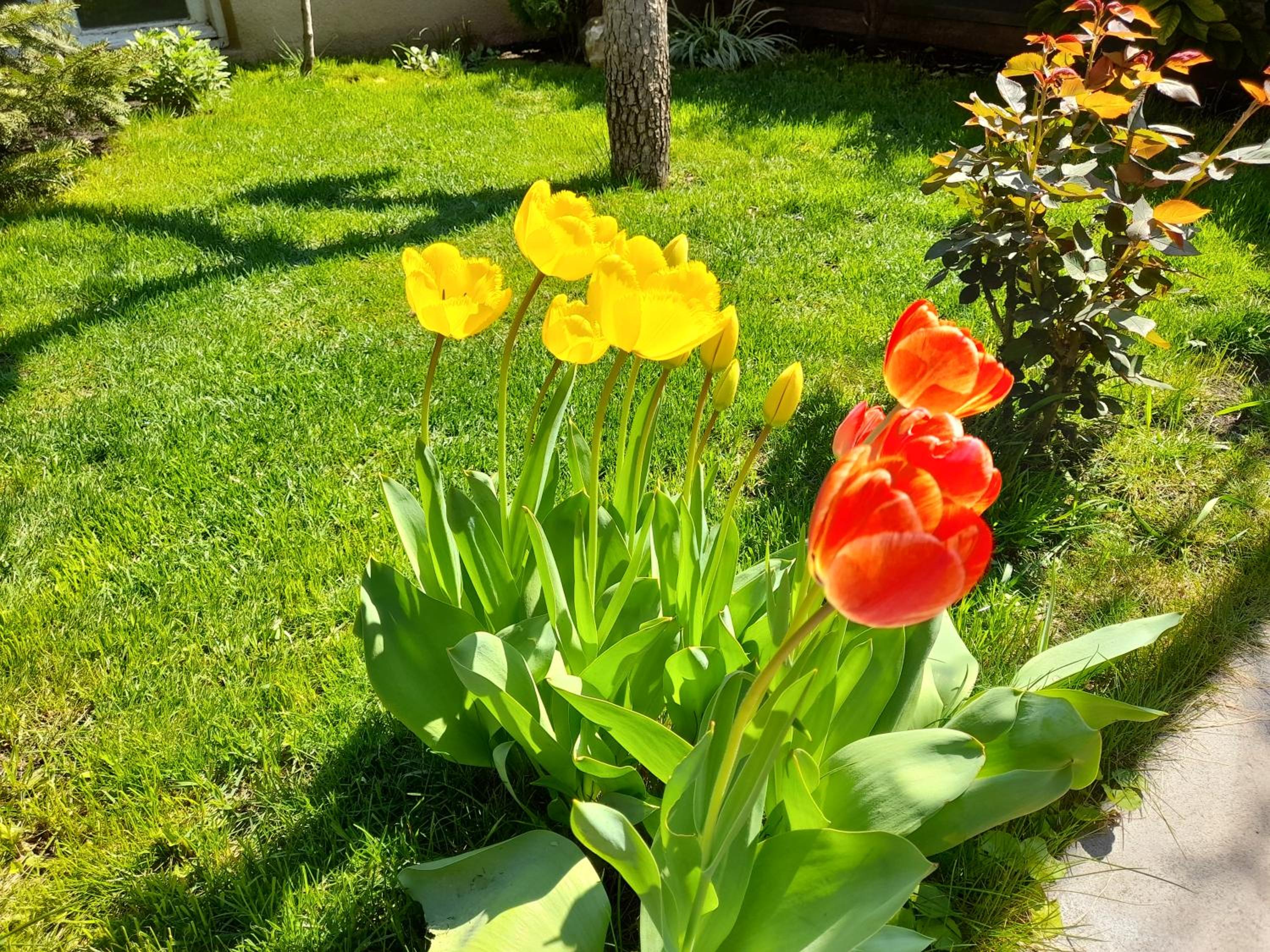 Photo 37