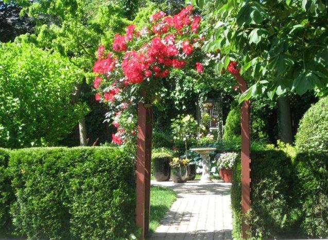 Niagara-on-the-Lake Vacations - Canterbury Inn - Property Image 3