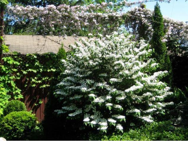 Canterbury Inn - Property Image 20