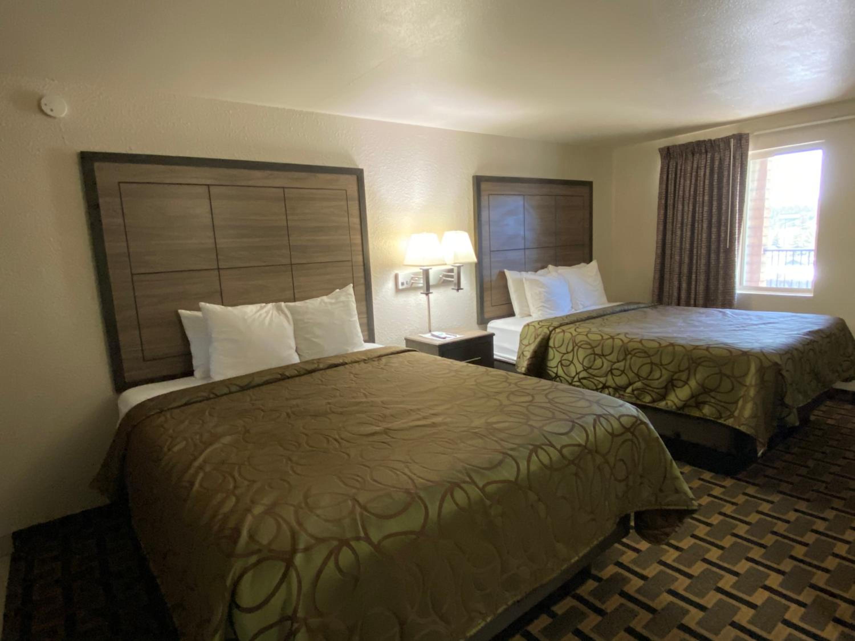 Motel In The Pines - Property Image 3