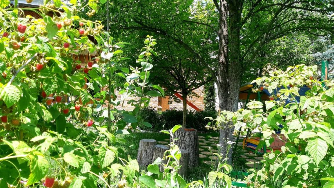 MagHay B&B Hotel in Vanadzor