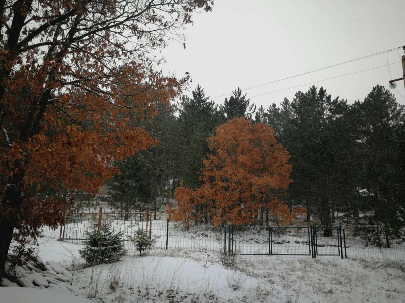 Vikendica Galiot