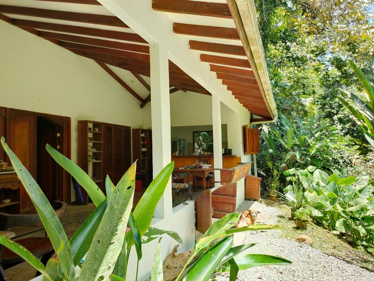 Finca Ardilla Jungle Lodge view 3