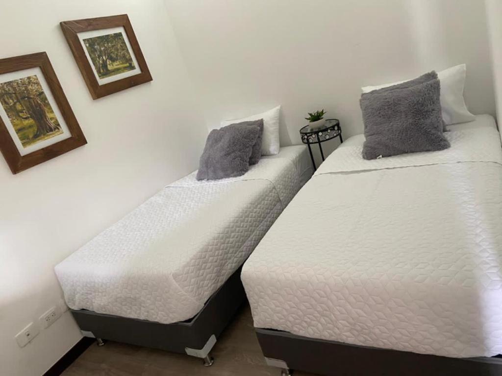 Apto 307 Metroloft Armenia