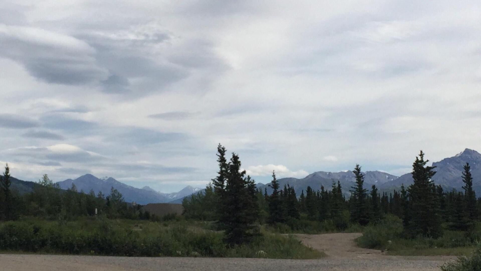 Denali Park Hotel