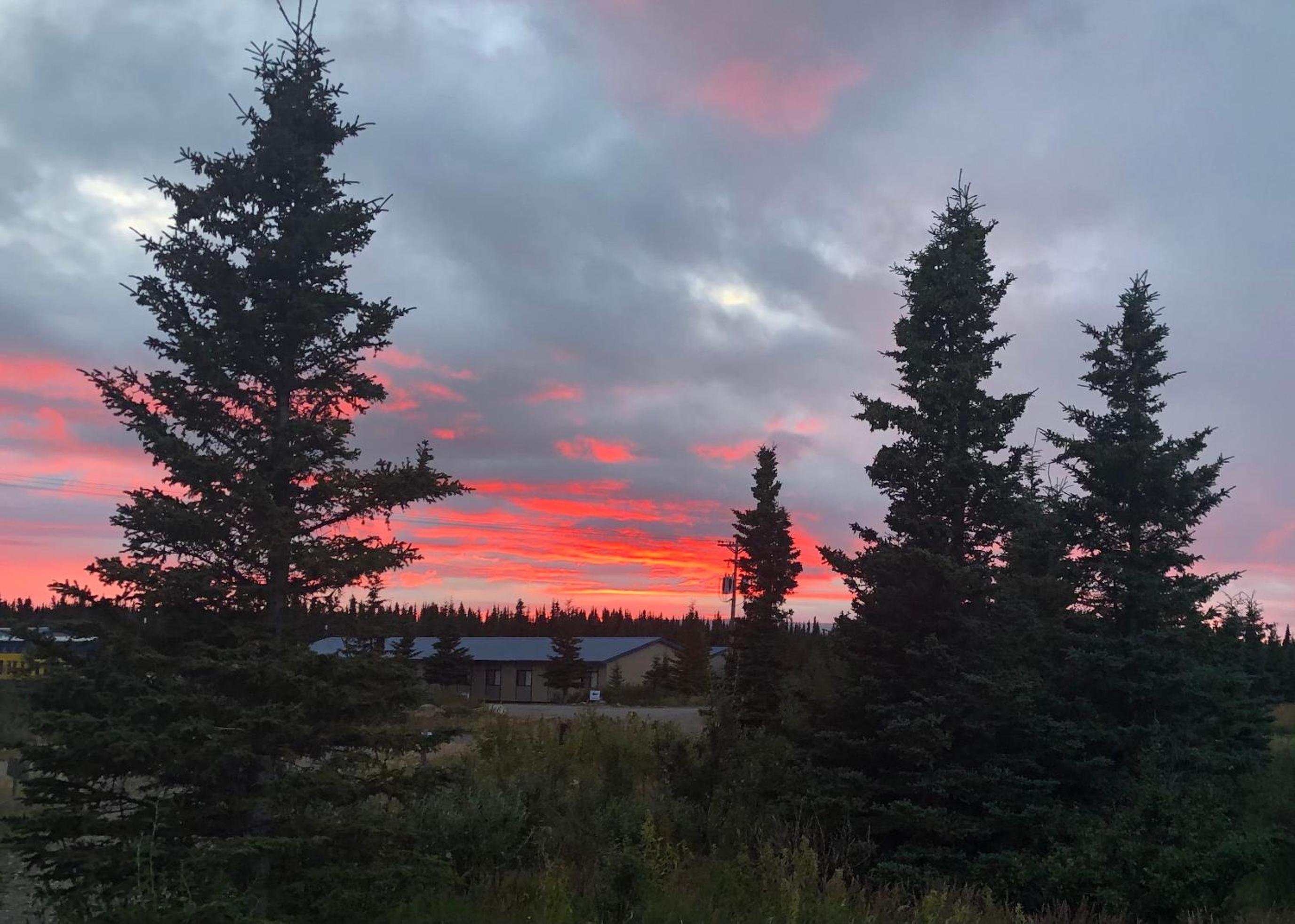 Denali Park Hotel