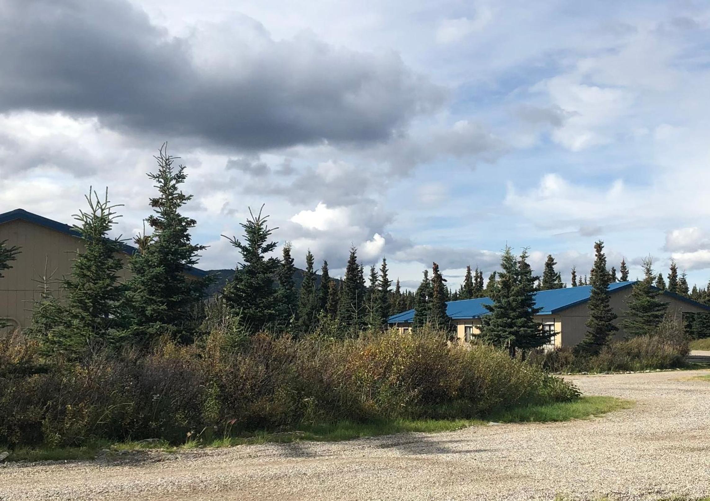 Denali Park Hotel