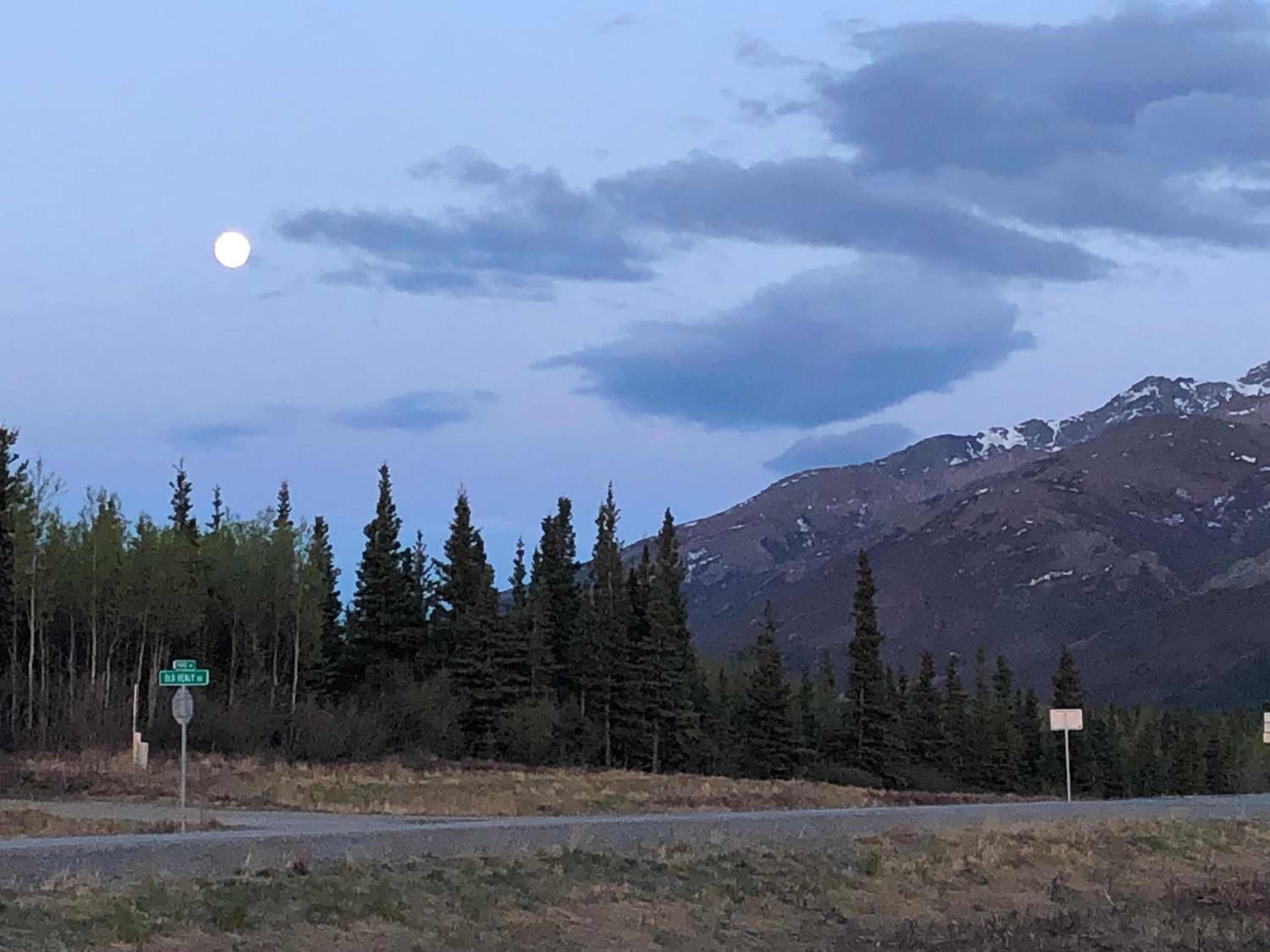 Denali Park Hotel