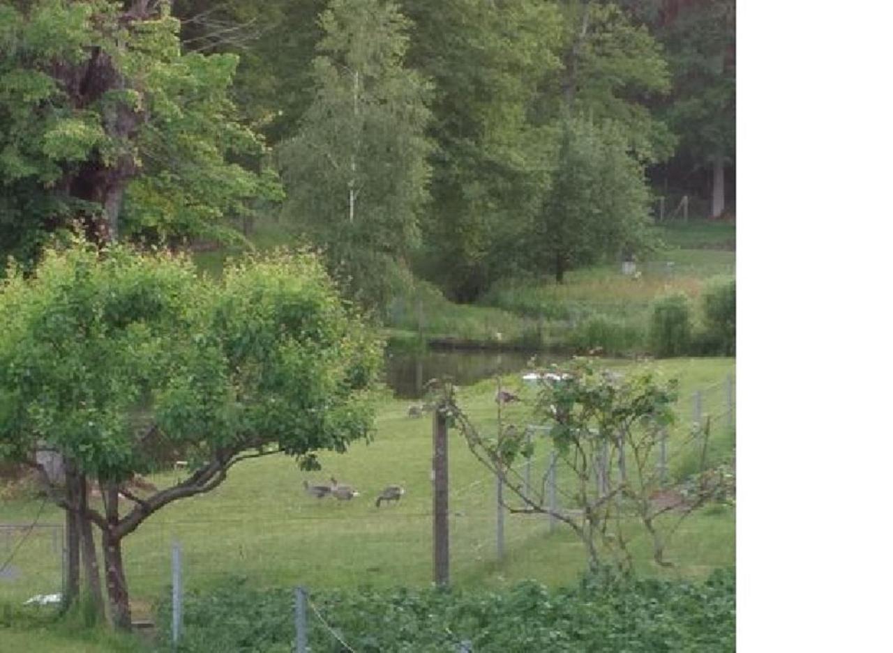 Pension & Gasthaus Kattenstieg