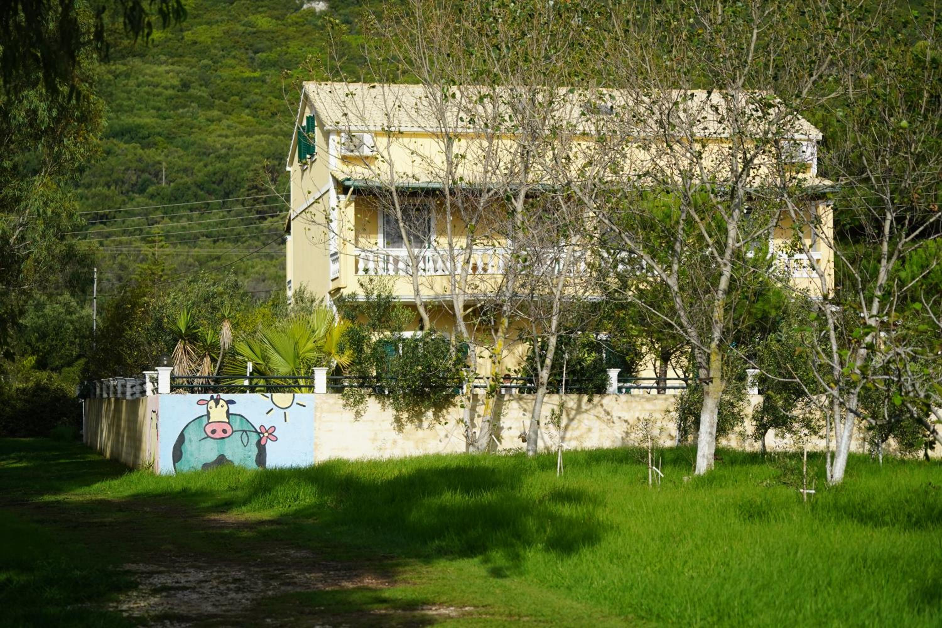 Photo 44