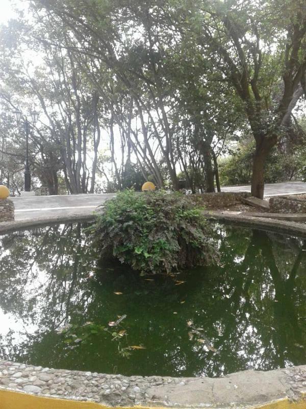 Photo 45