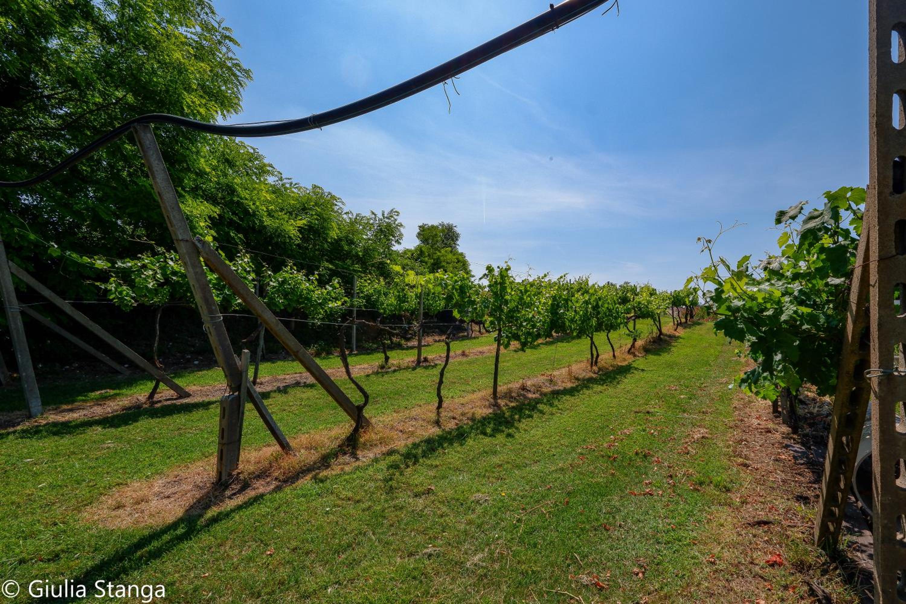 Cascina Graziosa