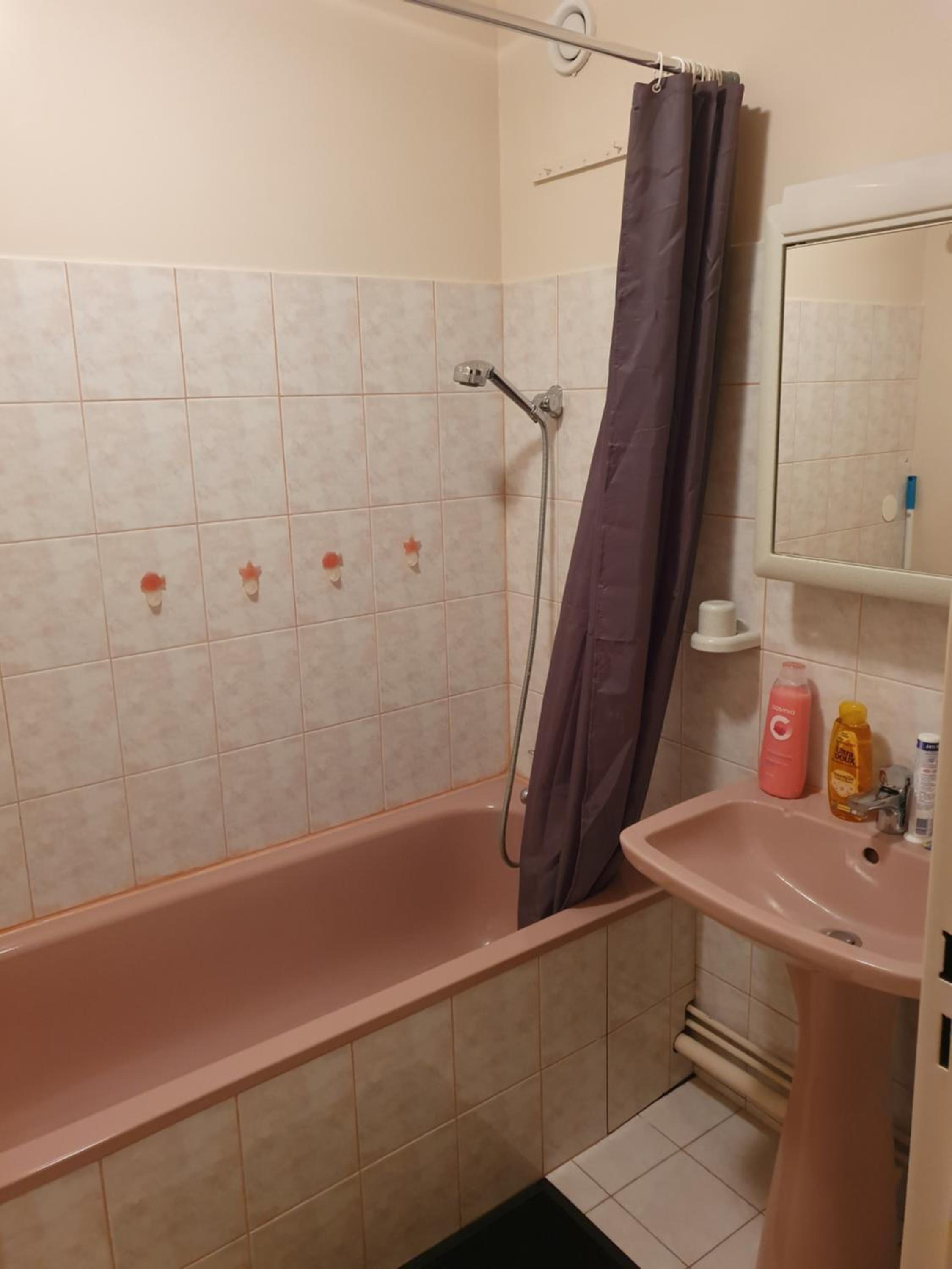 Dans grand appart de 113m2 proche Paris, photo 28