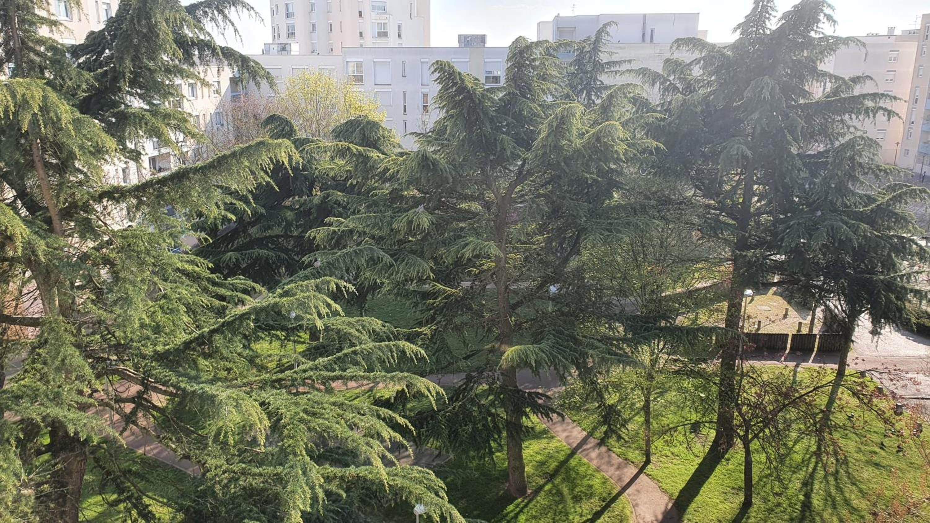 Dans grand appart de 113m2 proche Paris, photo 14