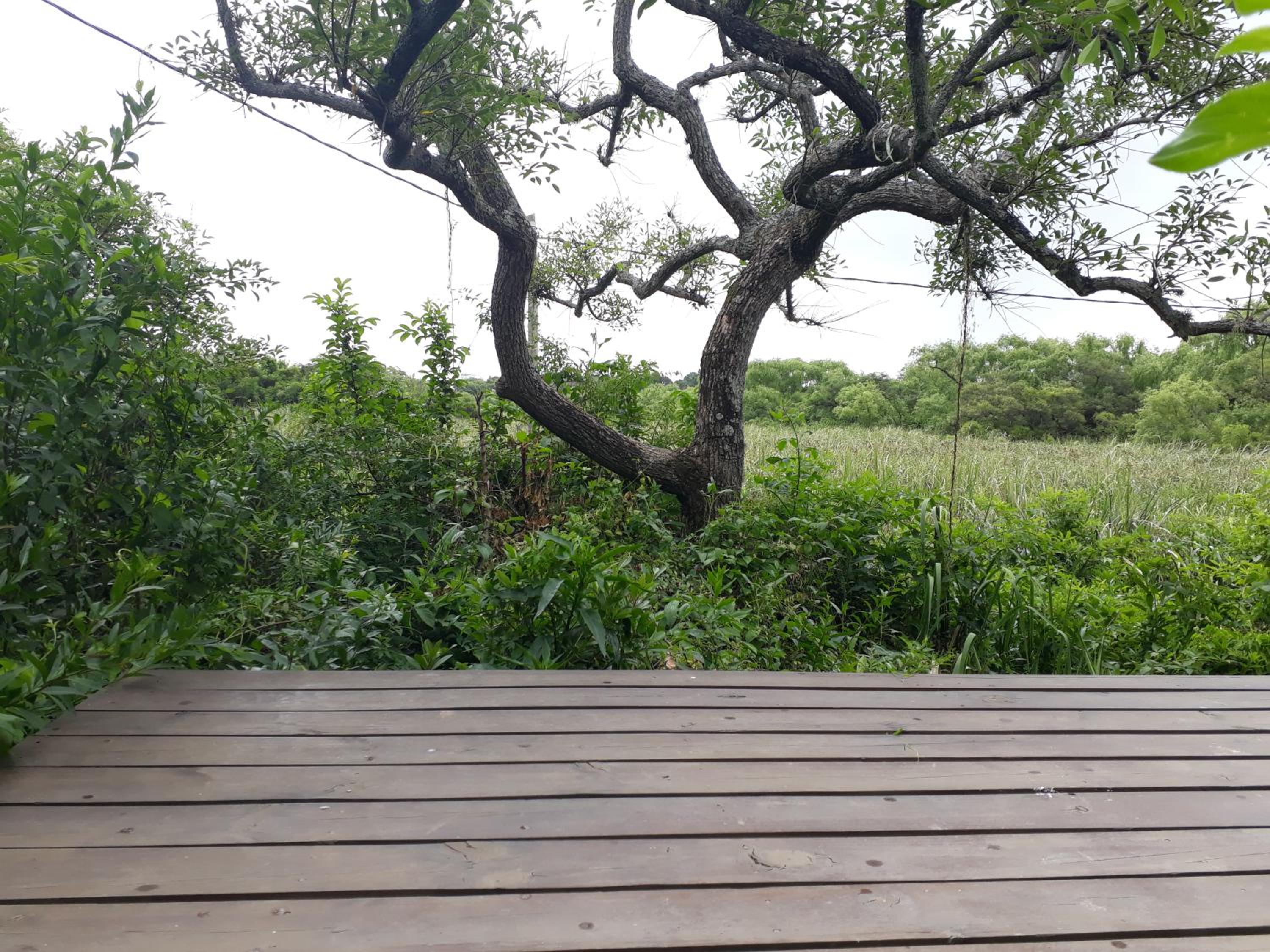 Casa en el Delta de Tigre puraisladelta