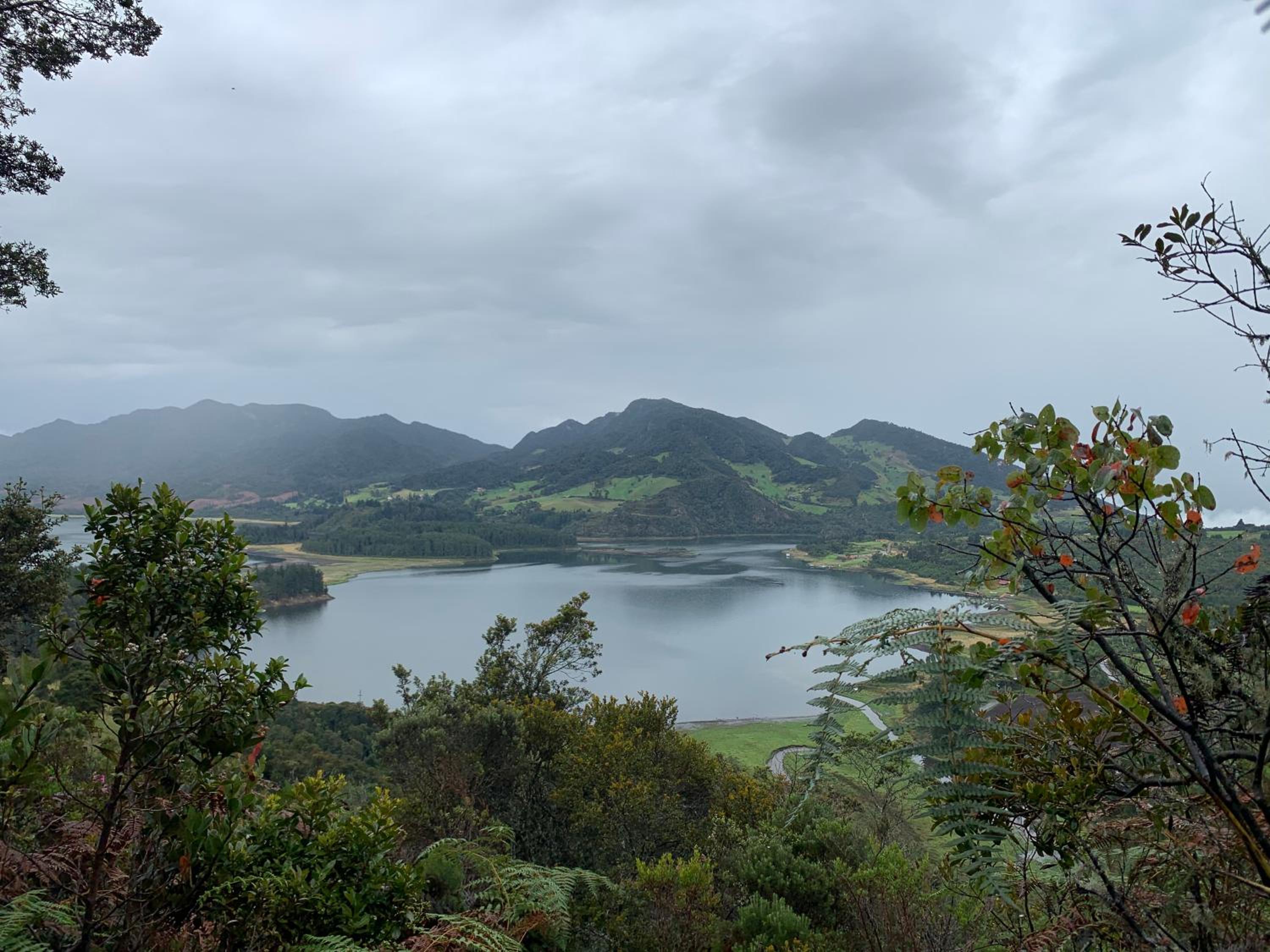 Mirador Bosque Gran Torino Neusa