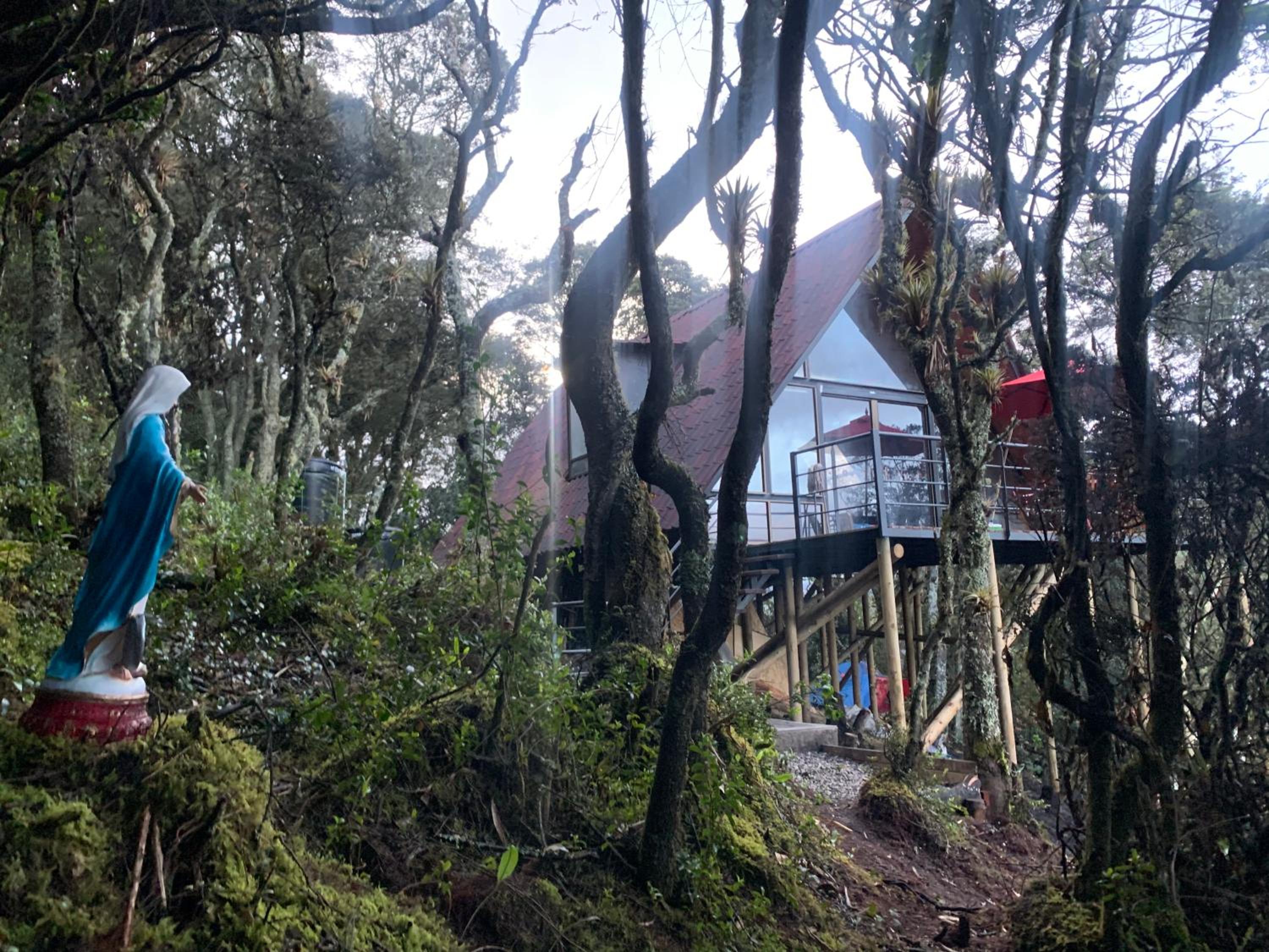 Mirador Bosque Gran Torino Neusa