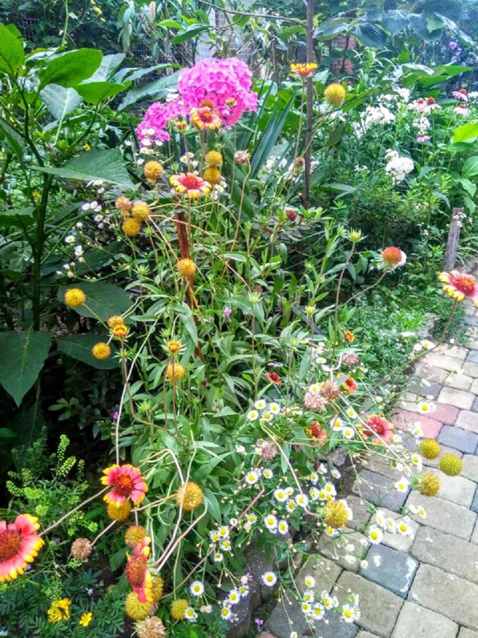Photo 26