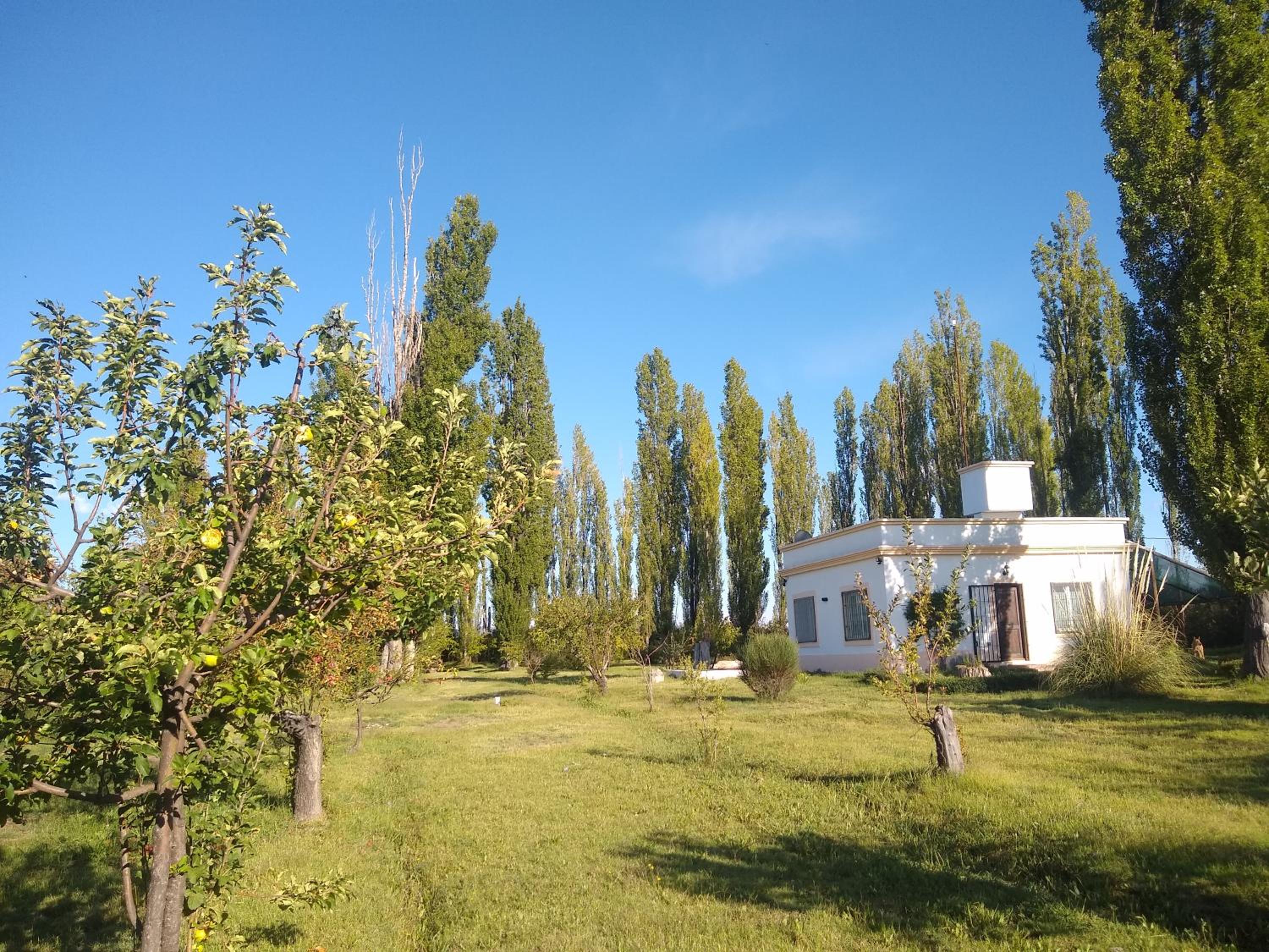 Finca La Penúltima-Posada