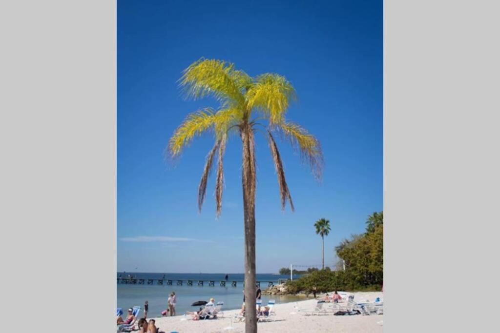 Little Harbor Resort #109 Tampa Bay FL Beach, 2 Pools, Riverview view 4