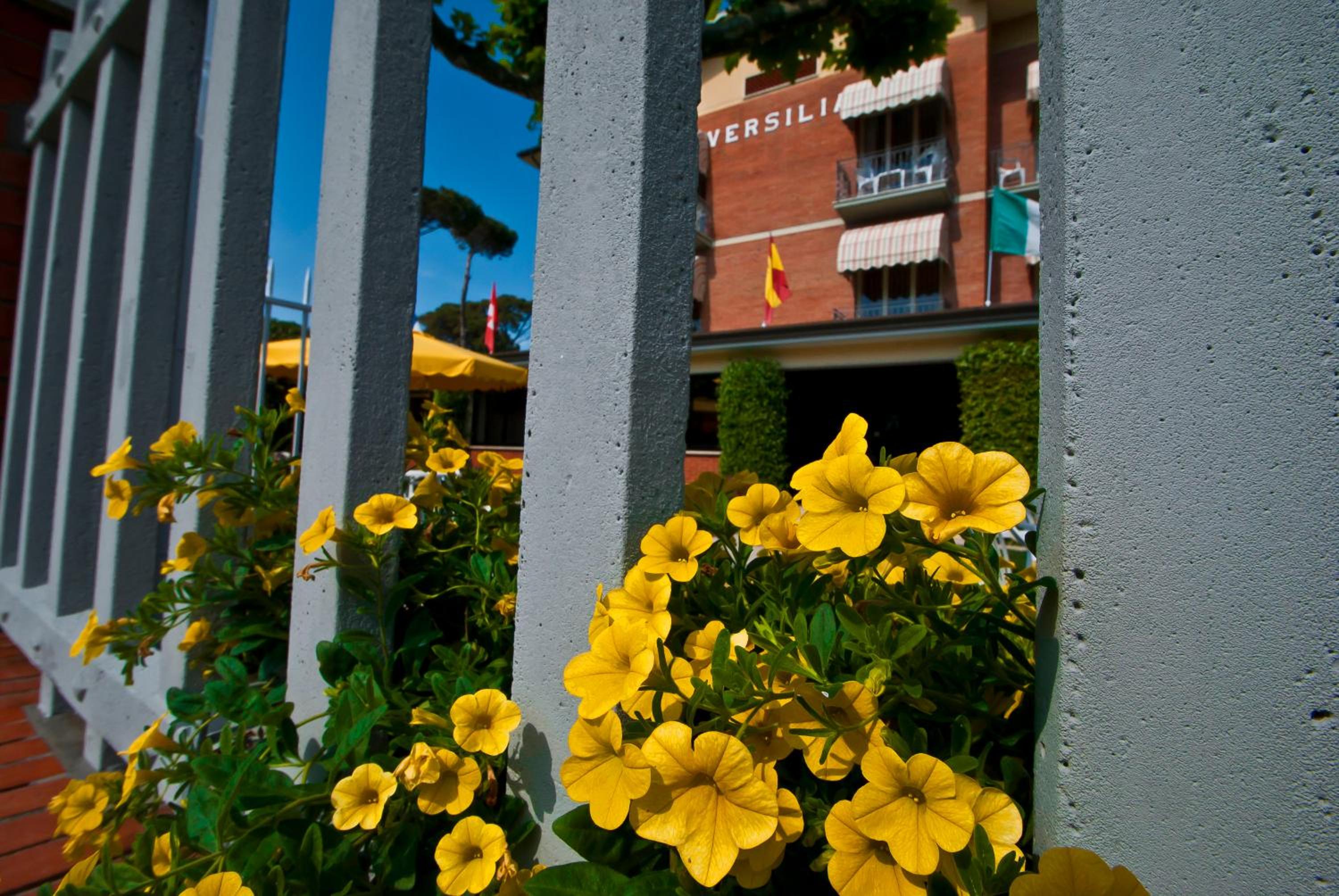 Hotel Versilia