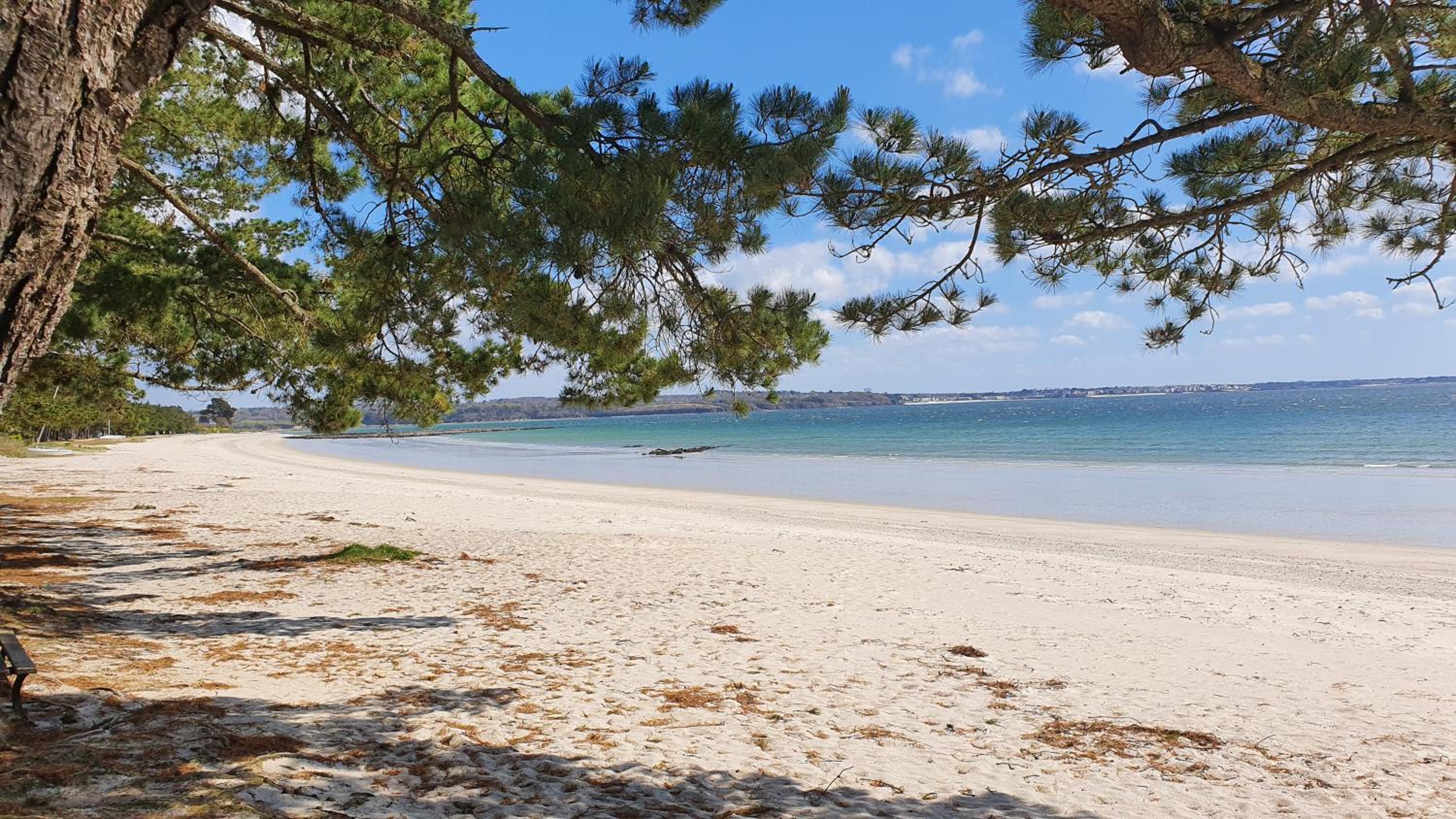 Vacances Ô Loch - Studio à 200 mètres de la plage - Le Cap Coz Fouesnant view 4