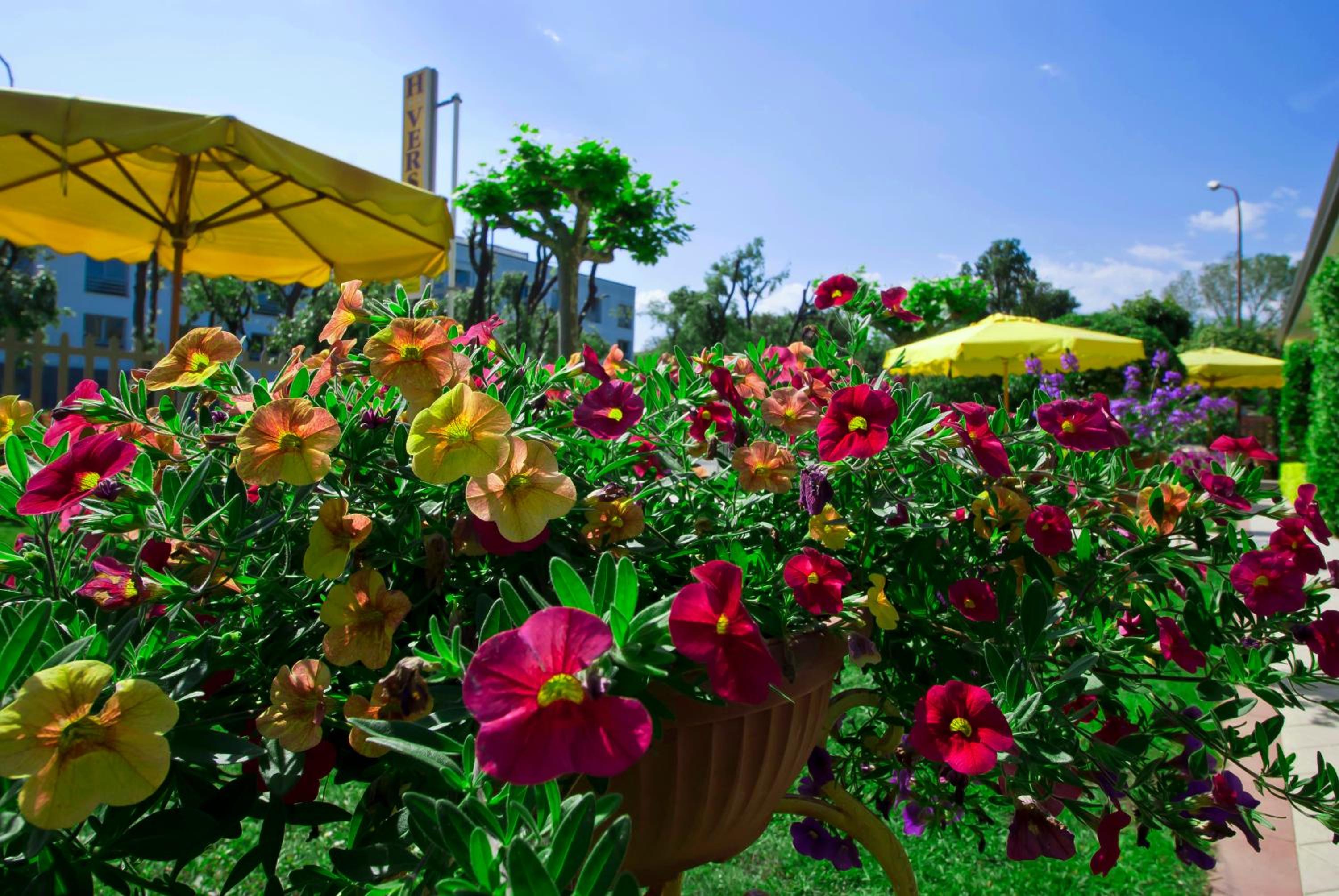 Hotel Versilia