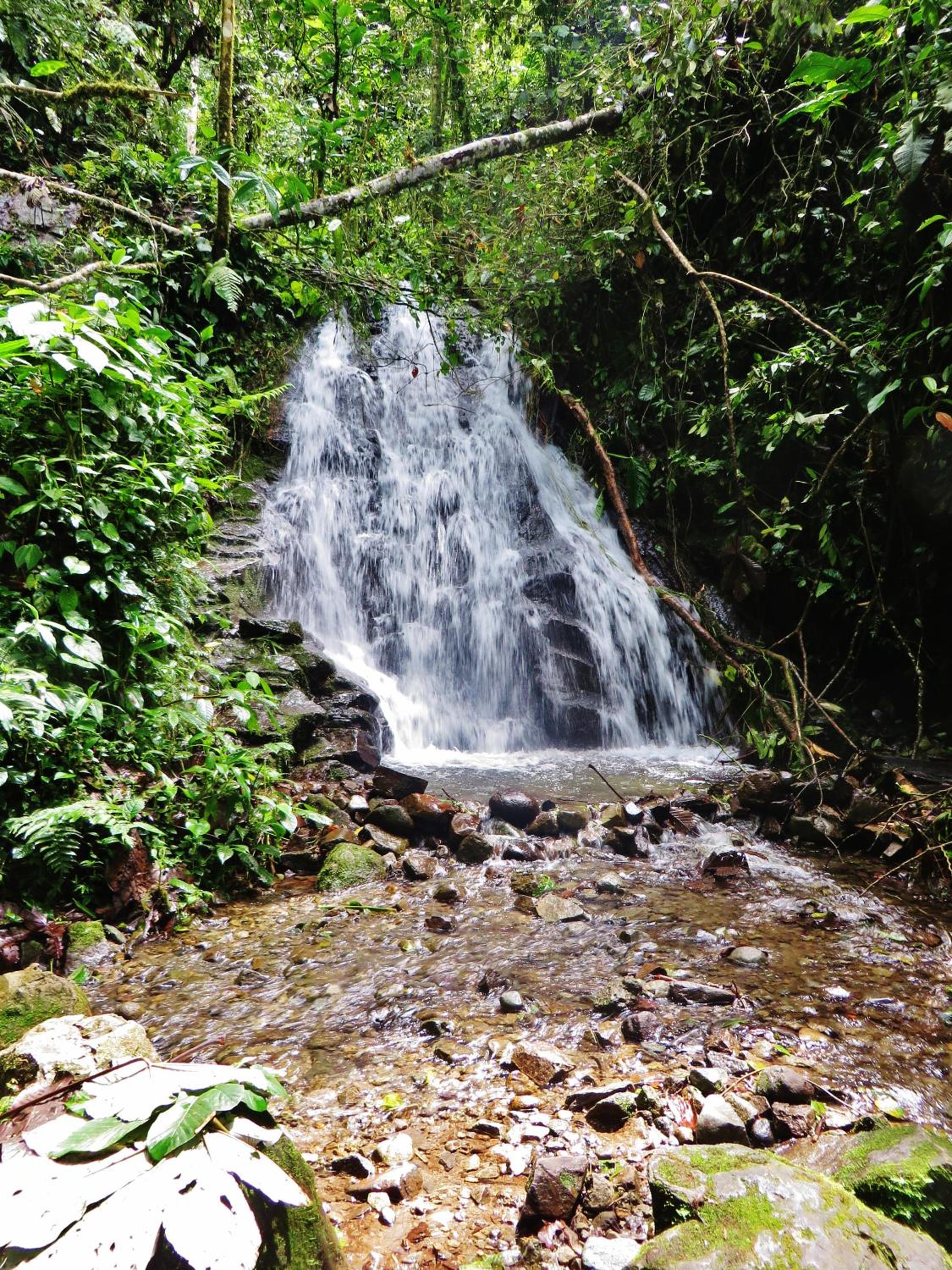 Mindo Eco Chalet, Rio y Cascadas view 2