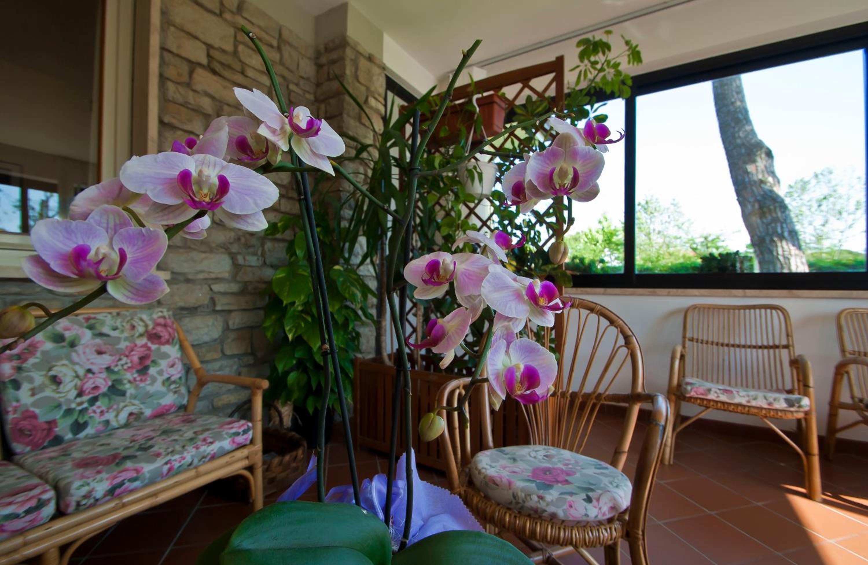 Hotel Versilia