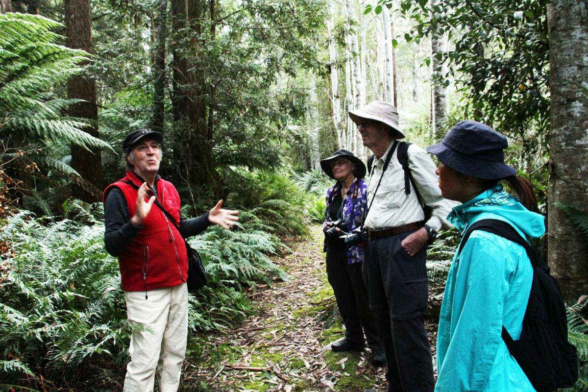 Forest Walks Lodge