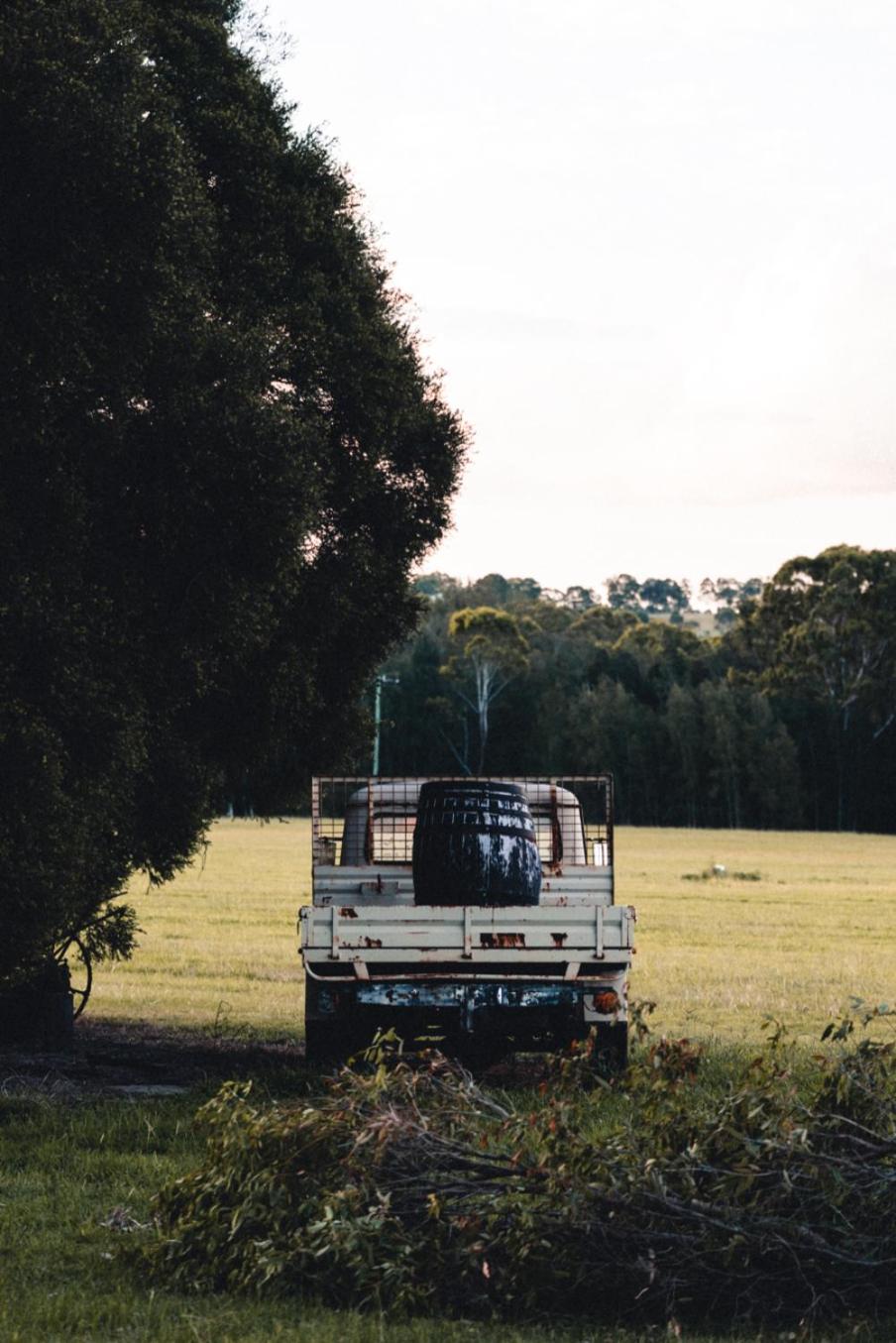 Idyllic Loft in the heart of Lovedale