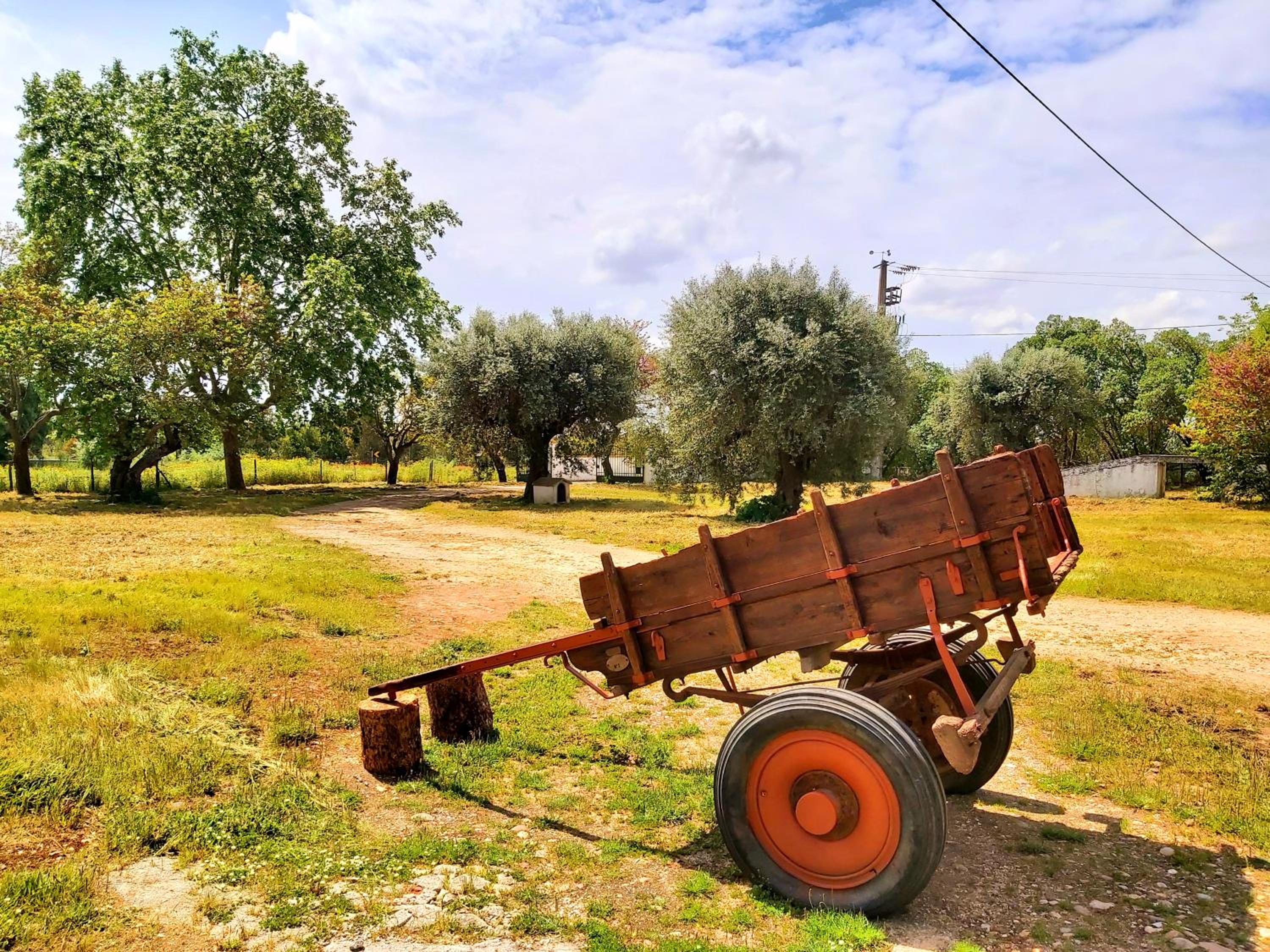 Photo 46