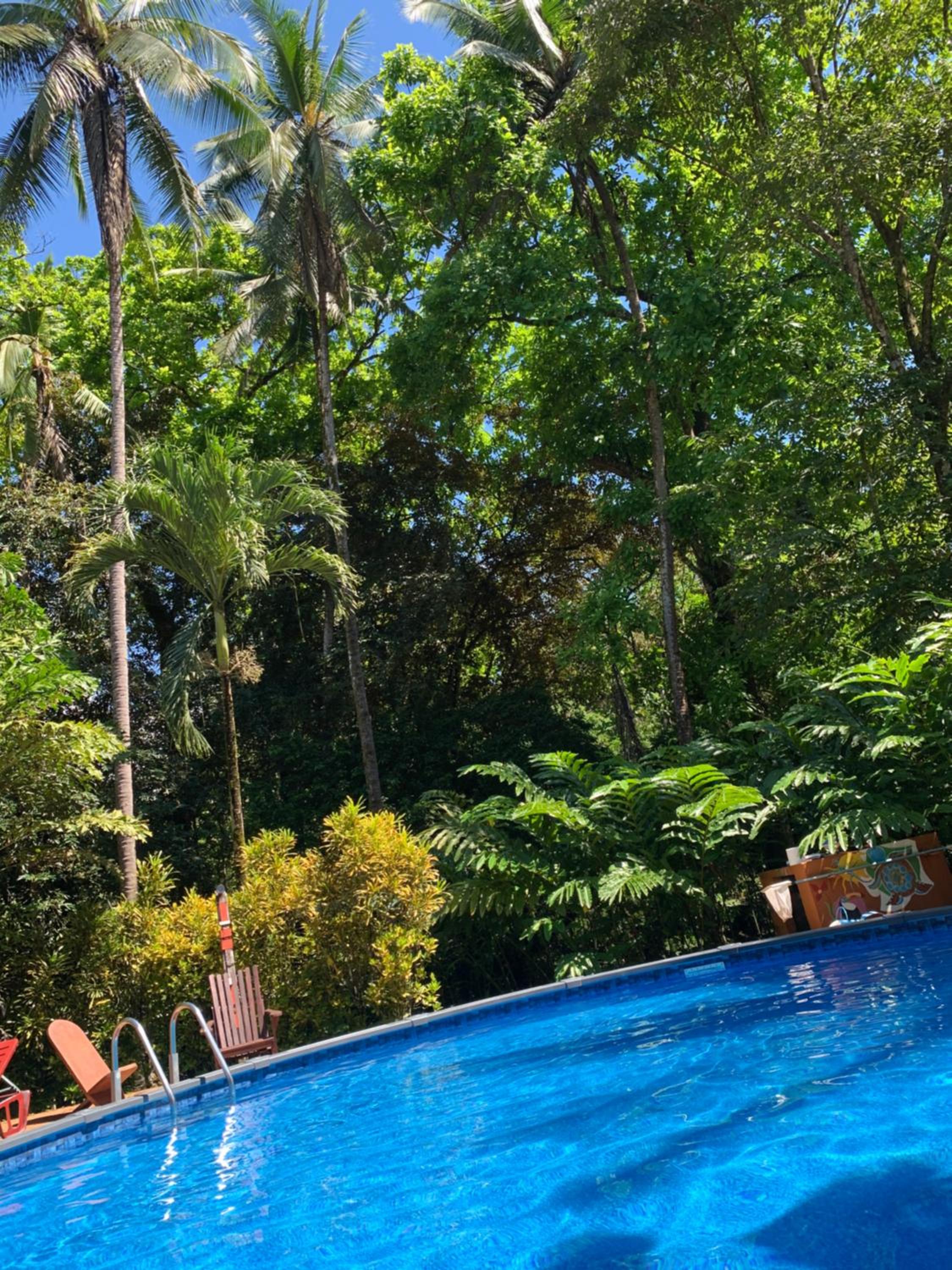 Cabinas Coco Lindo