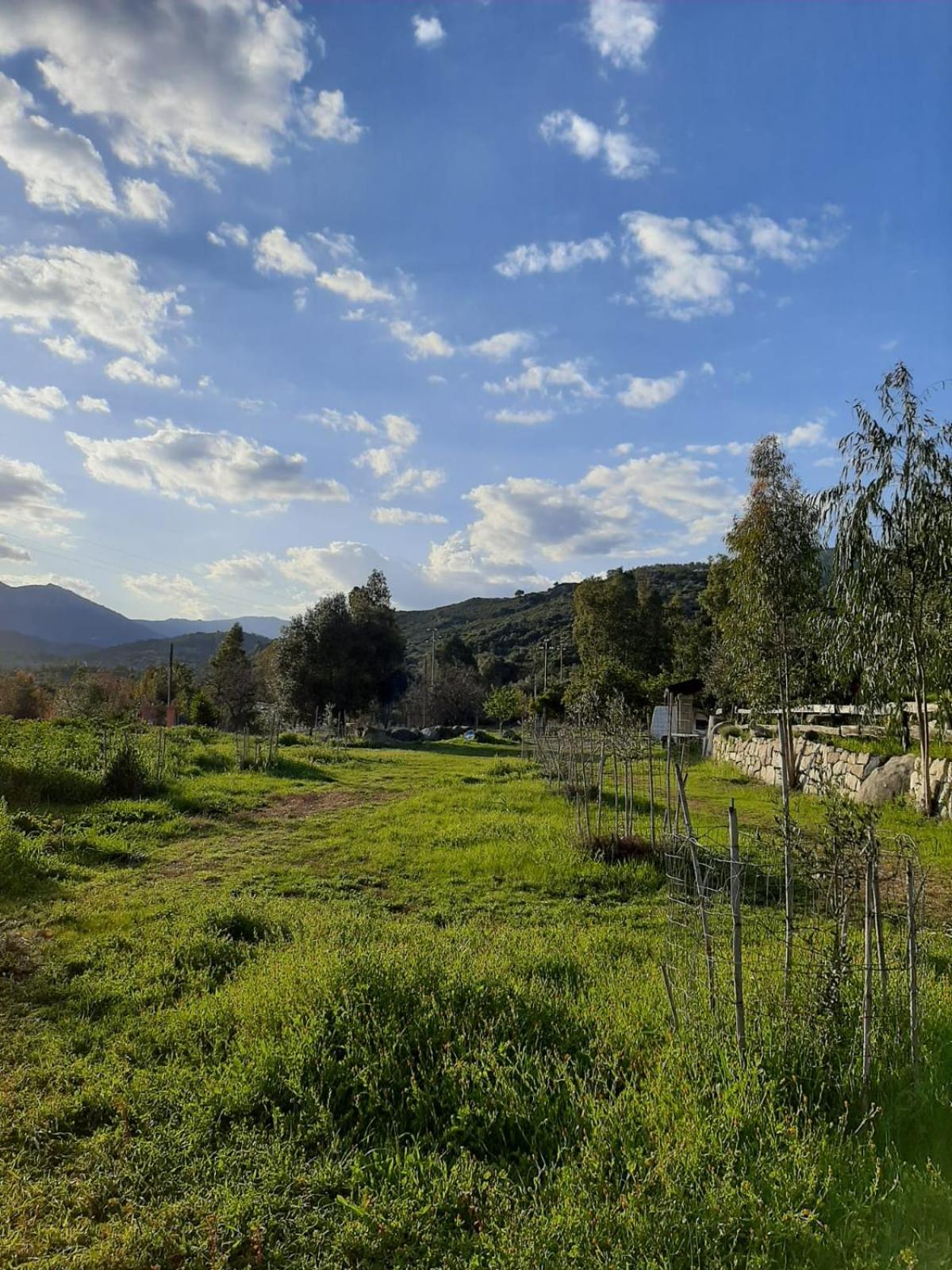 S'Imbragu Farm B&B view 3