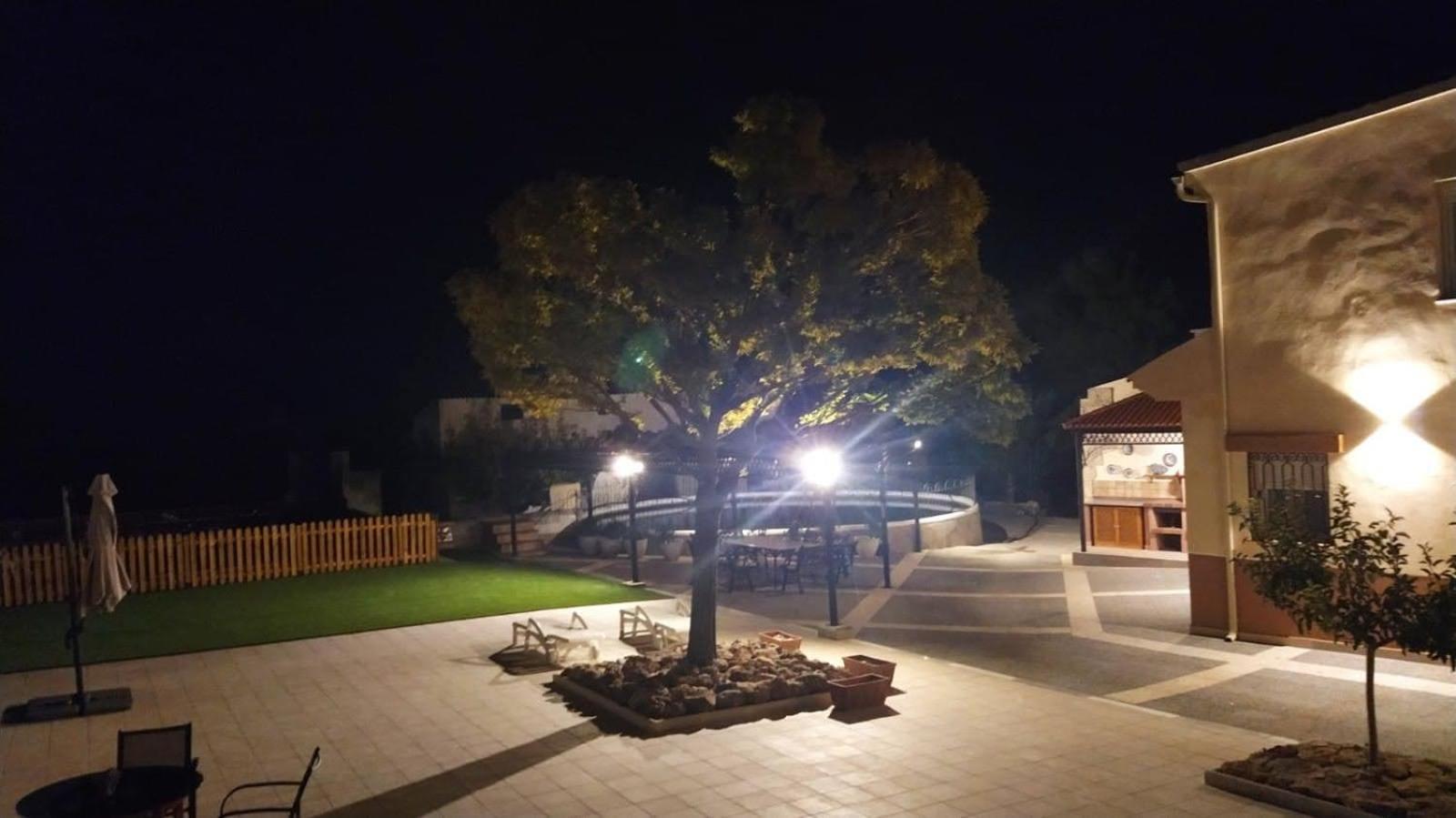 Photo 41