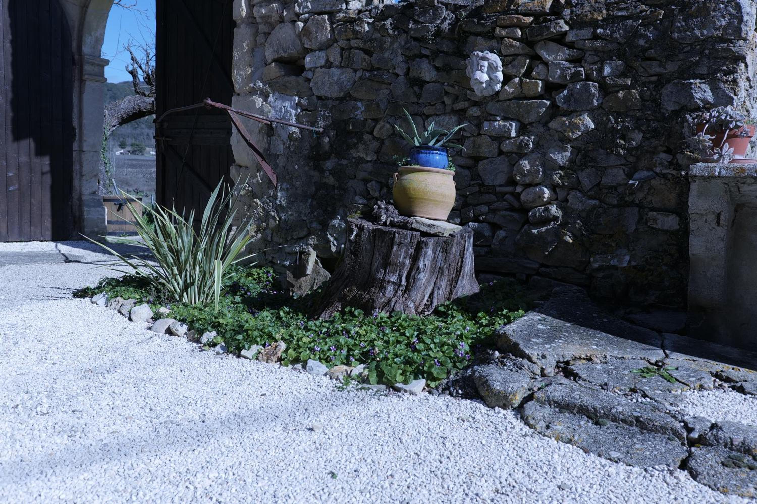 Photo 23
