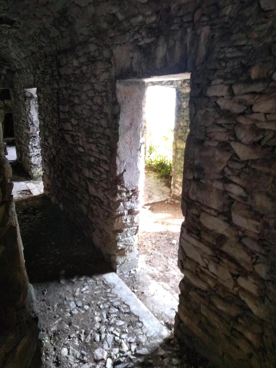 Photo 49