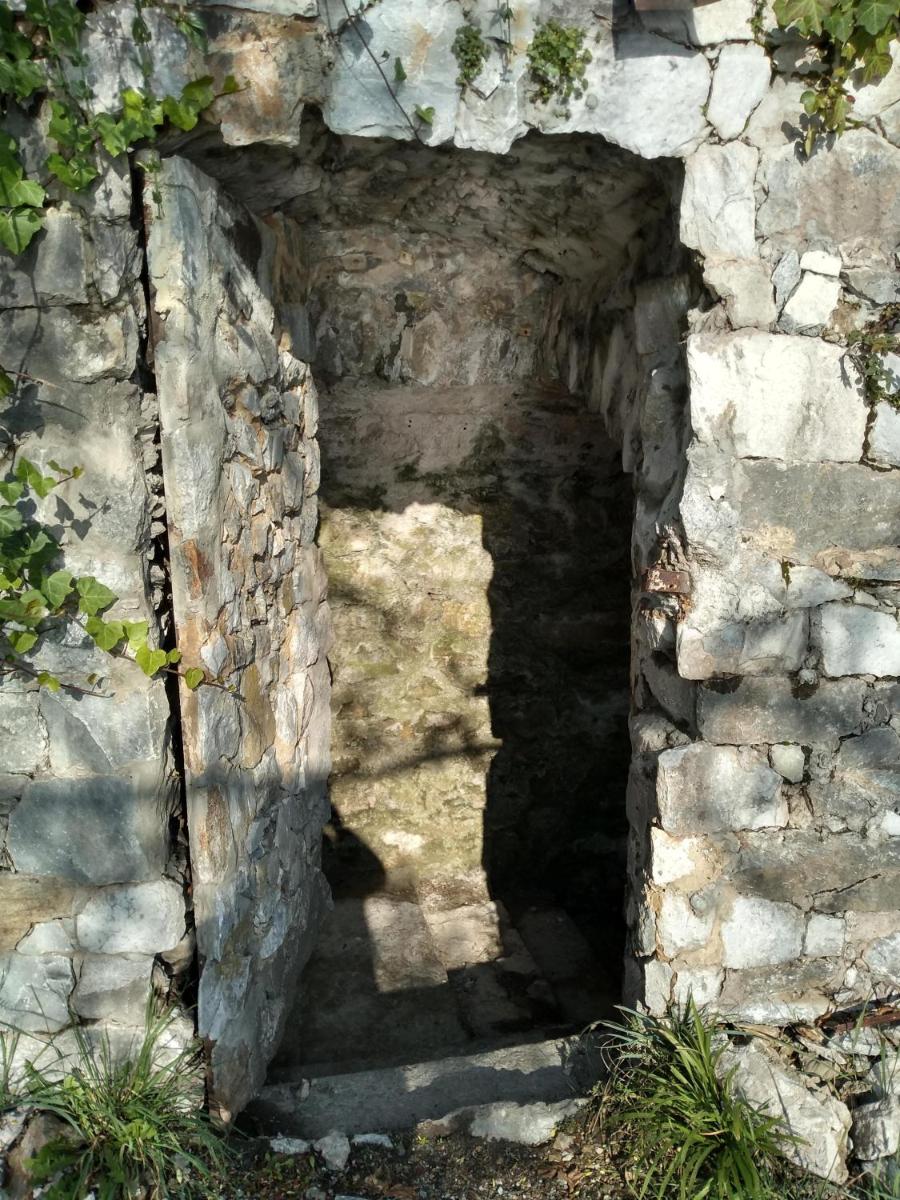 Photo 51