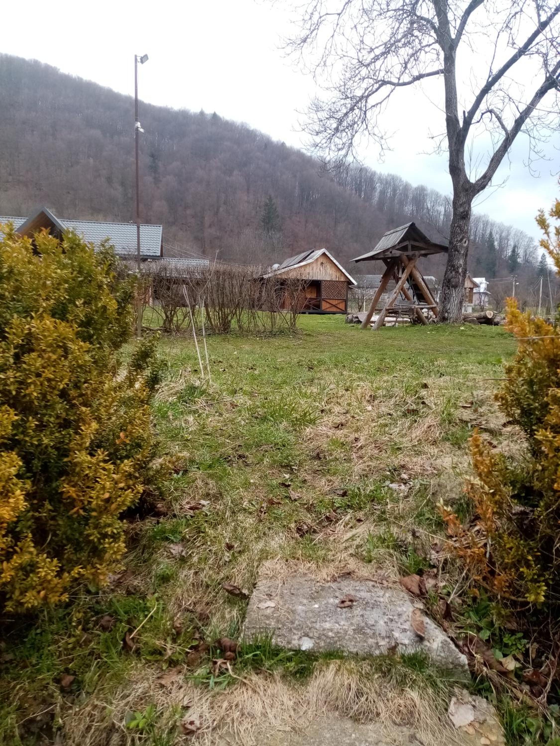 Photo 25