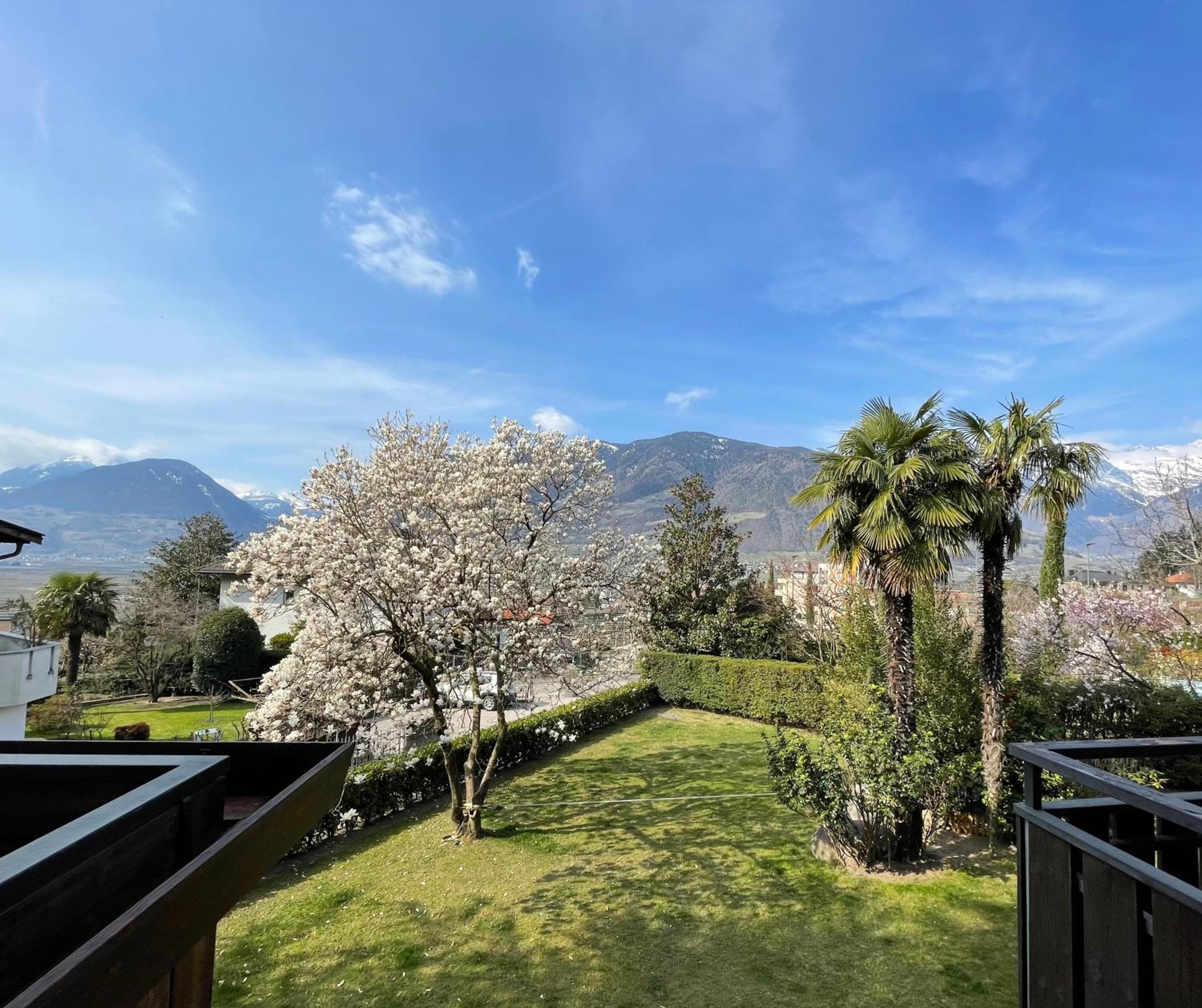 Naif-Home view 3