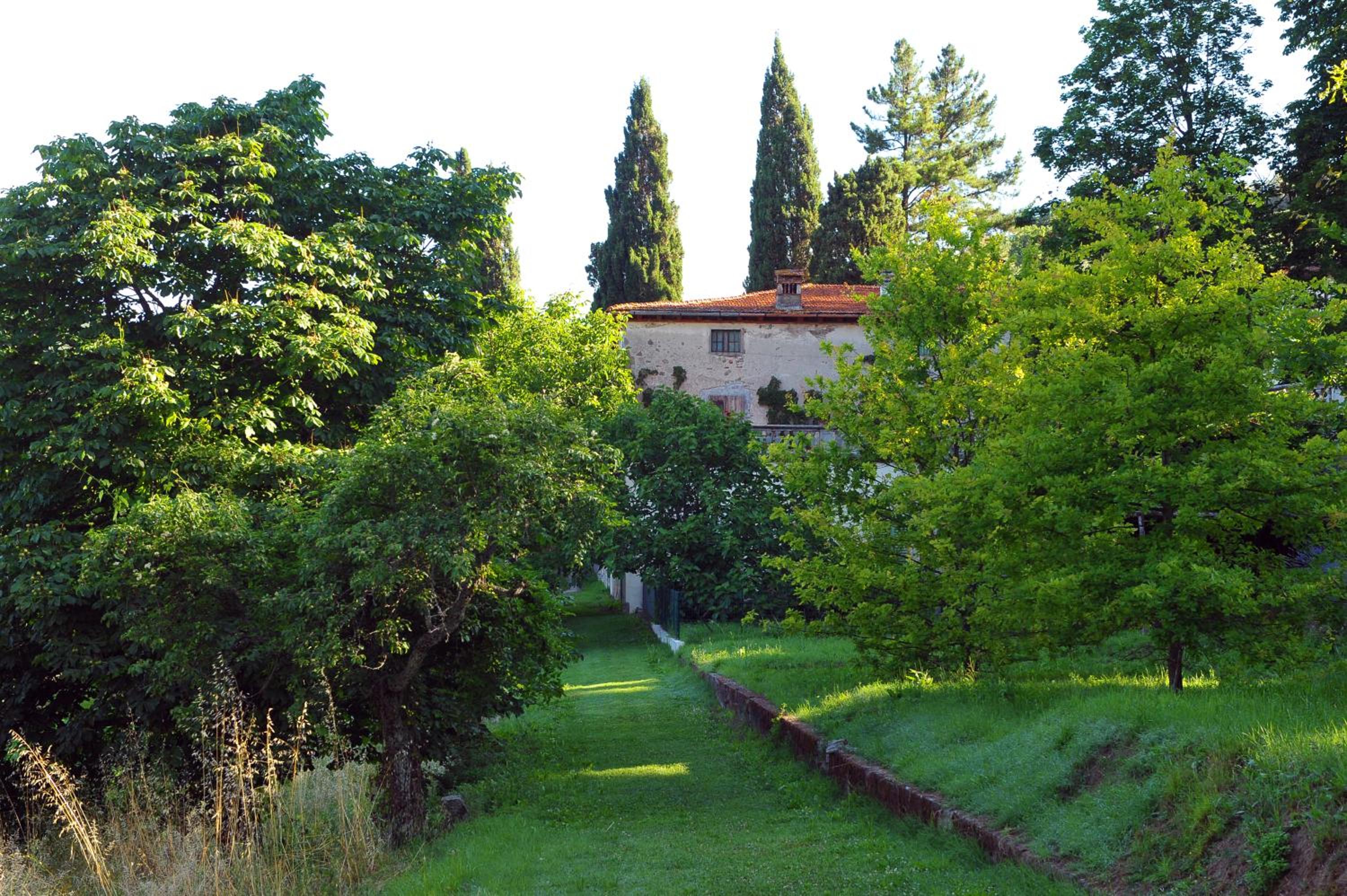 Photo 25