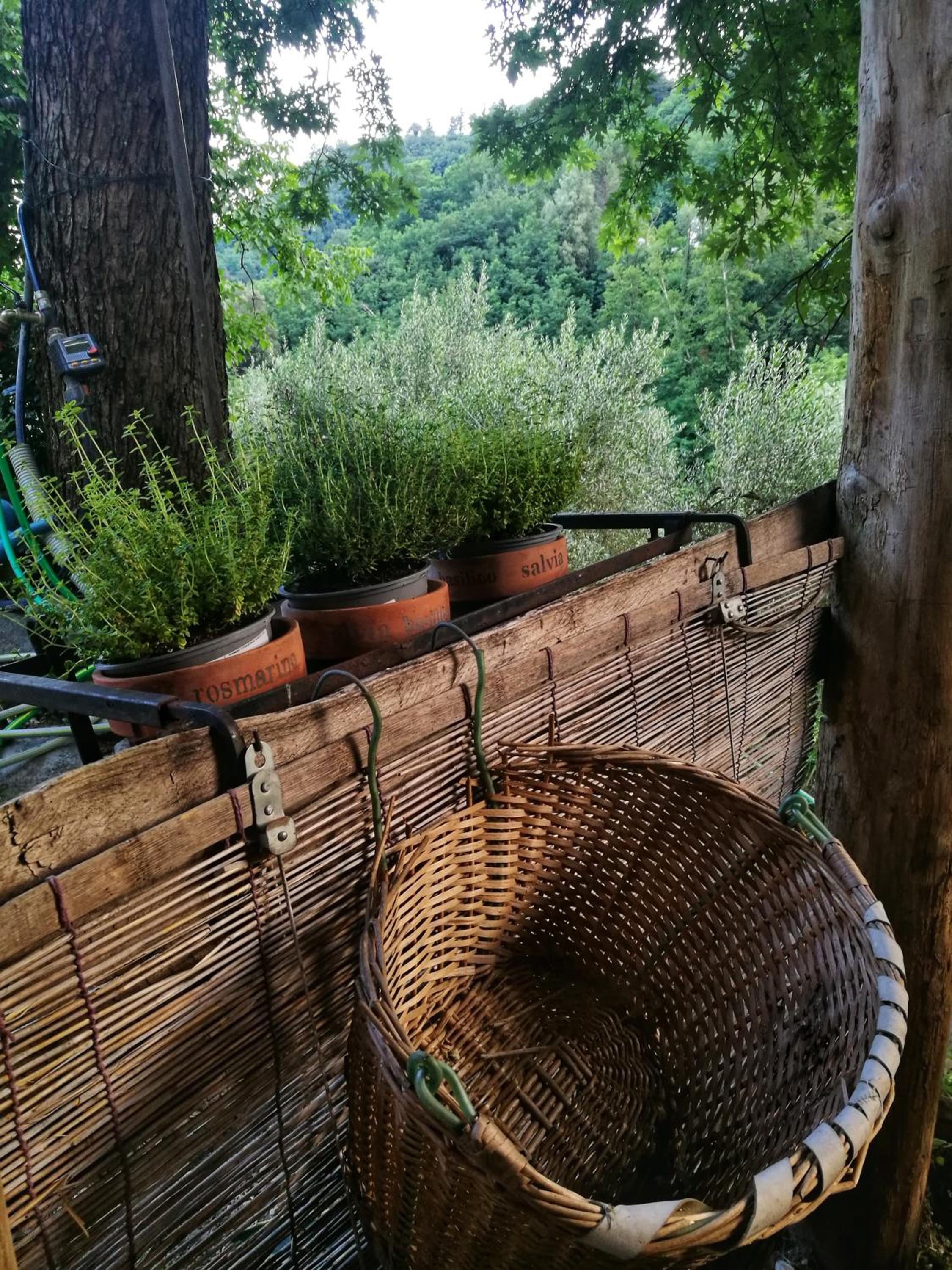 Agriturismo Tananei