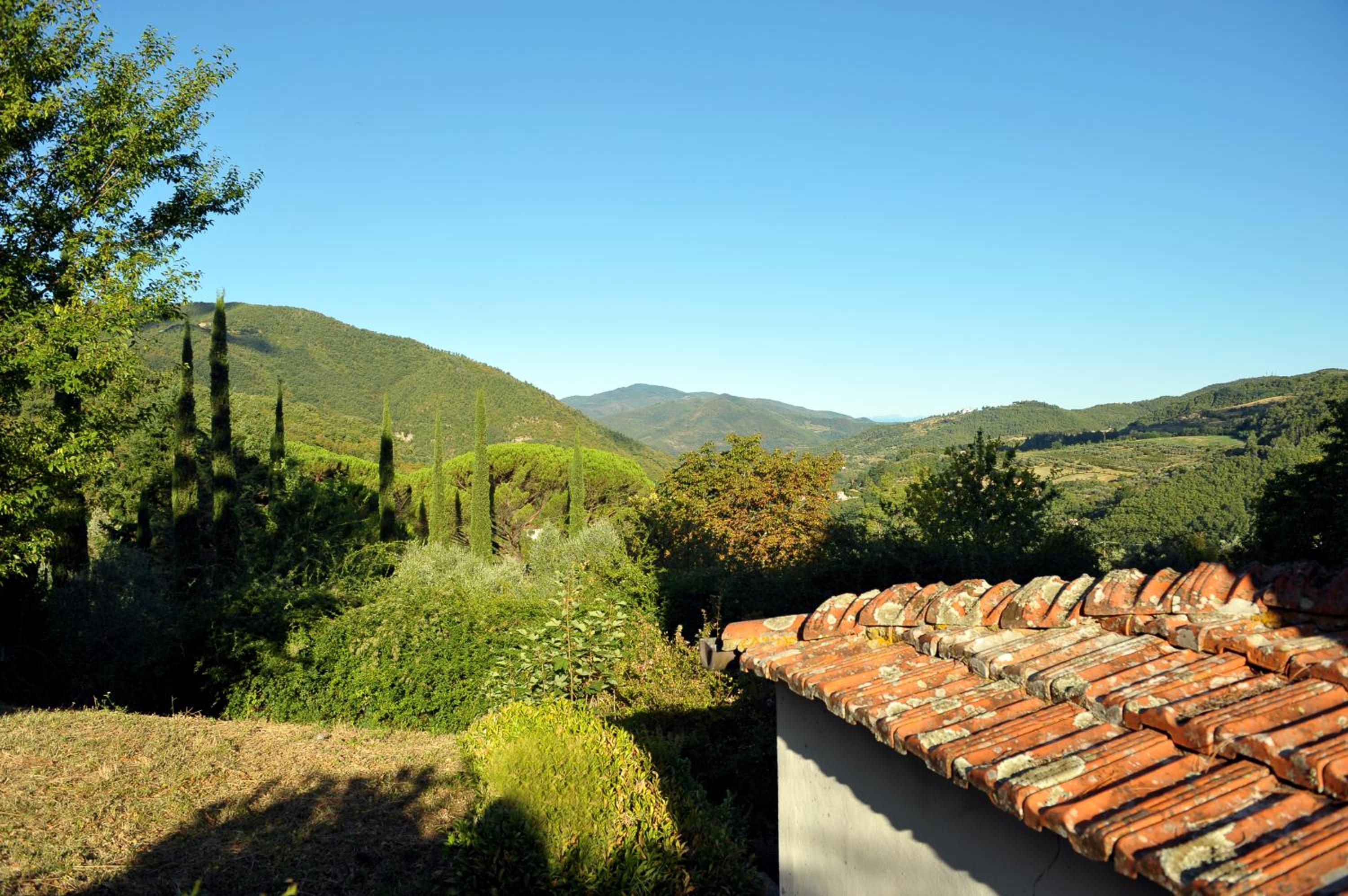 La Villa di Caiano view 2