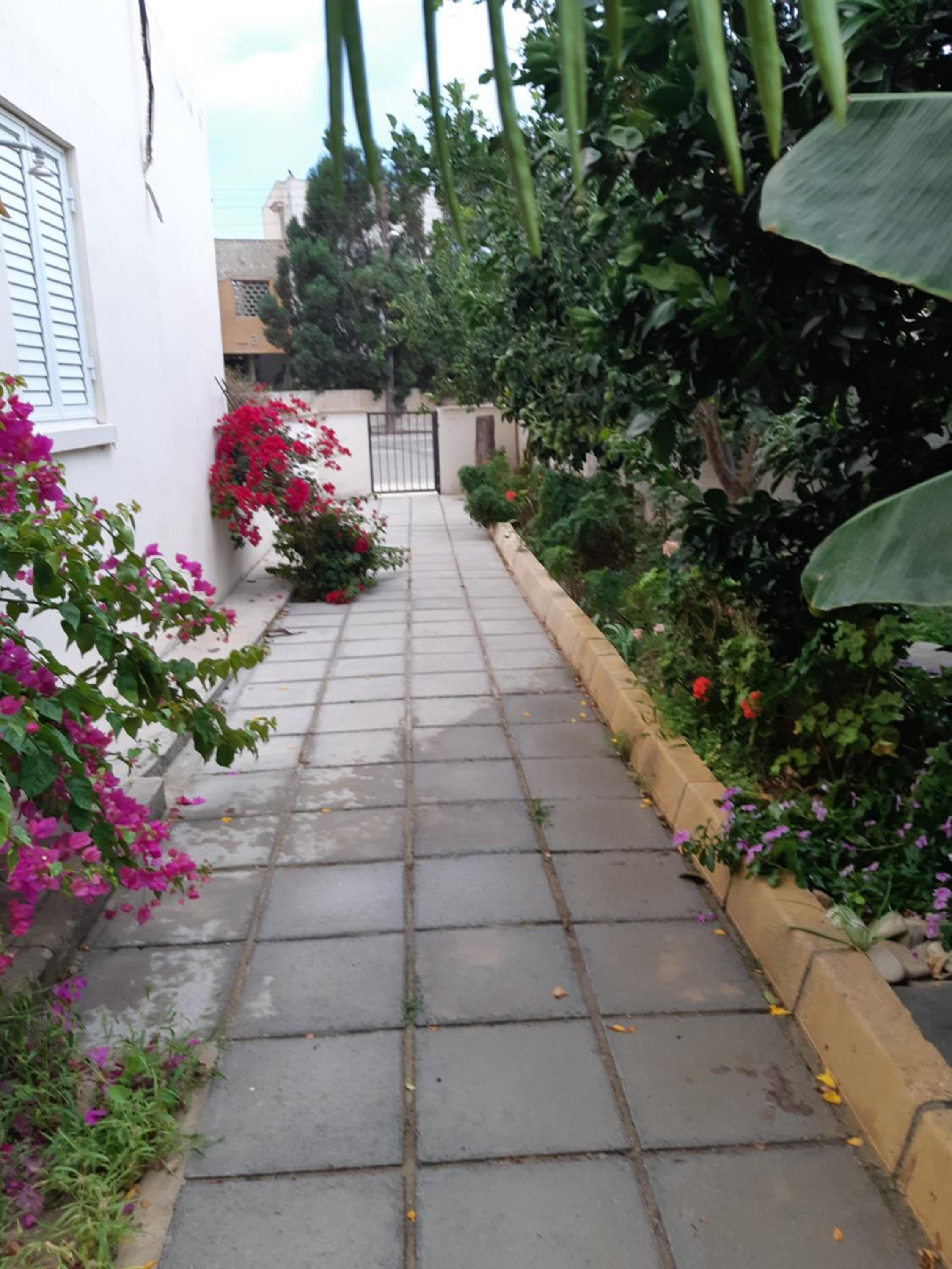 House Near The Beach (Militsa & Aggeliki)