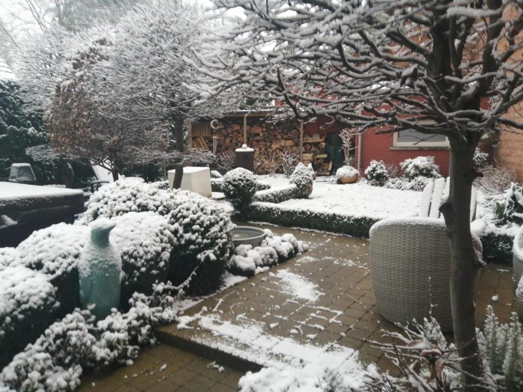 Adamas B&B