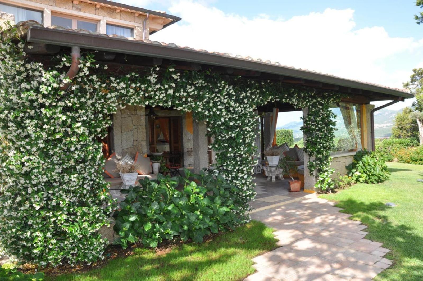 Luxury Villa Porto Rotondo with private pool by Varental view 4