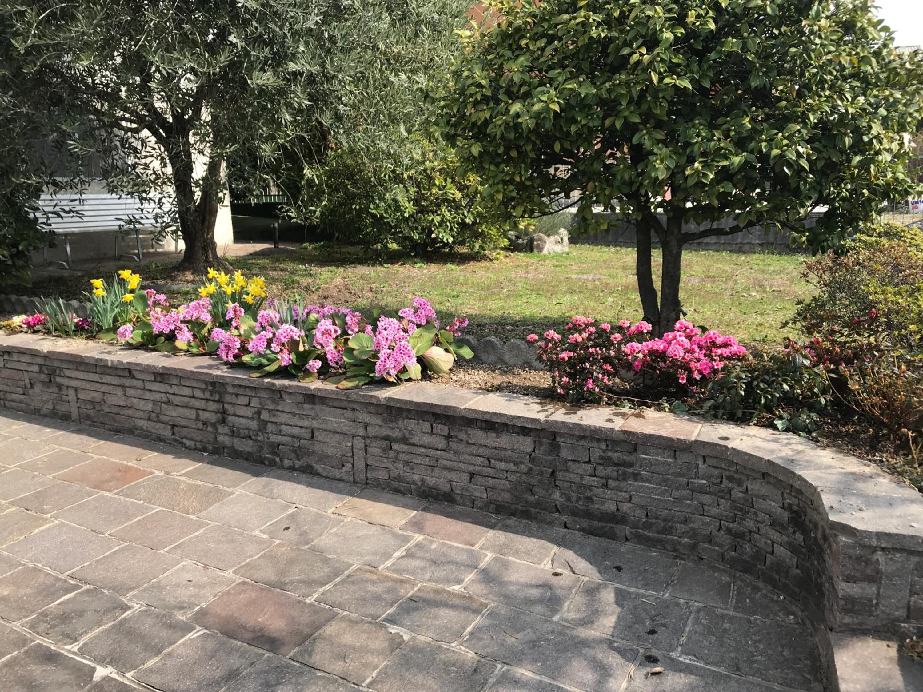 Photo 19