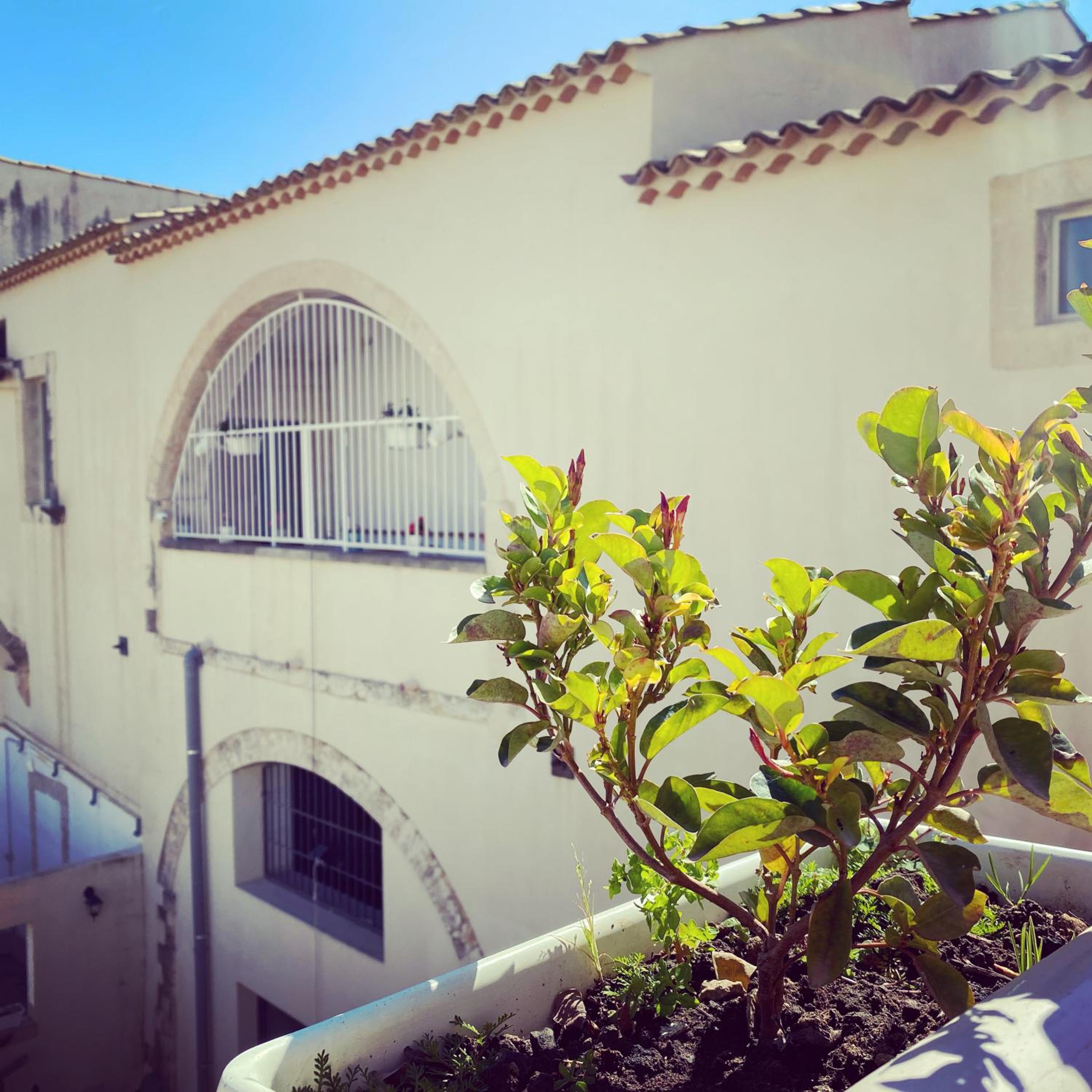B&B Palazzo Loreto view 3