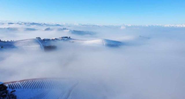 Photo 97
